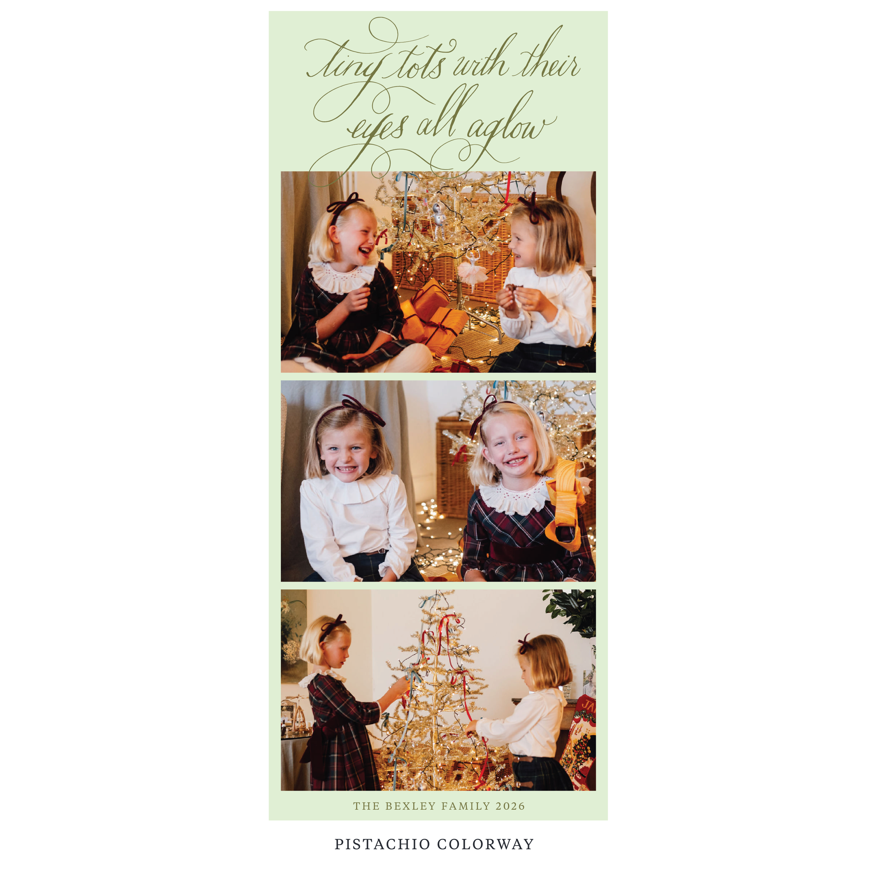 Bexley Digital Photo Holiday Card, Skinny