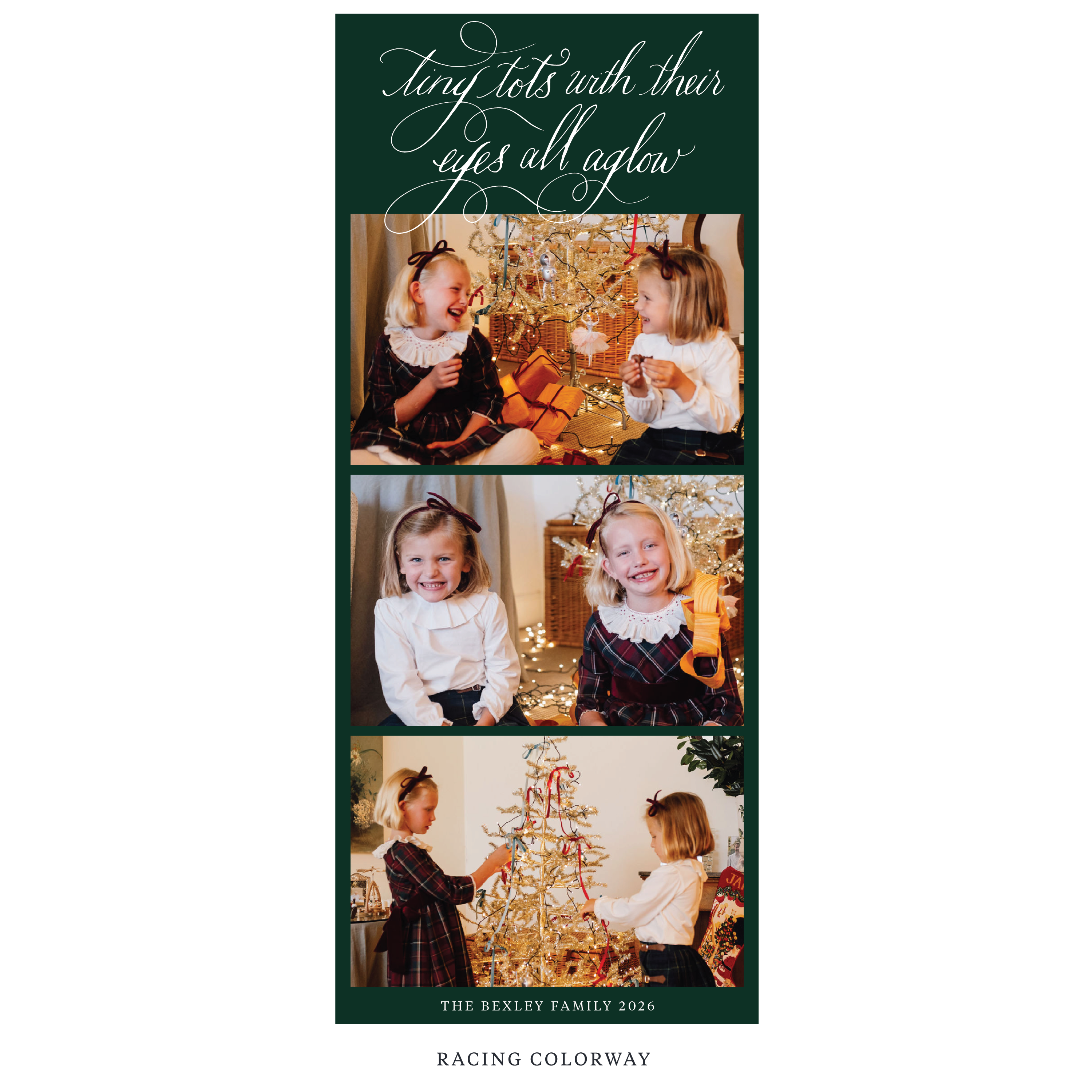 Bexley Digital Photo Holiday Card, Skinny