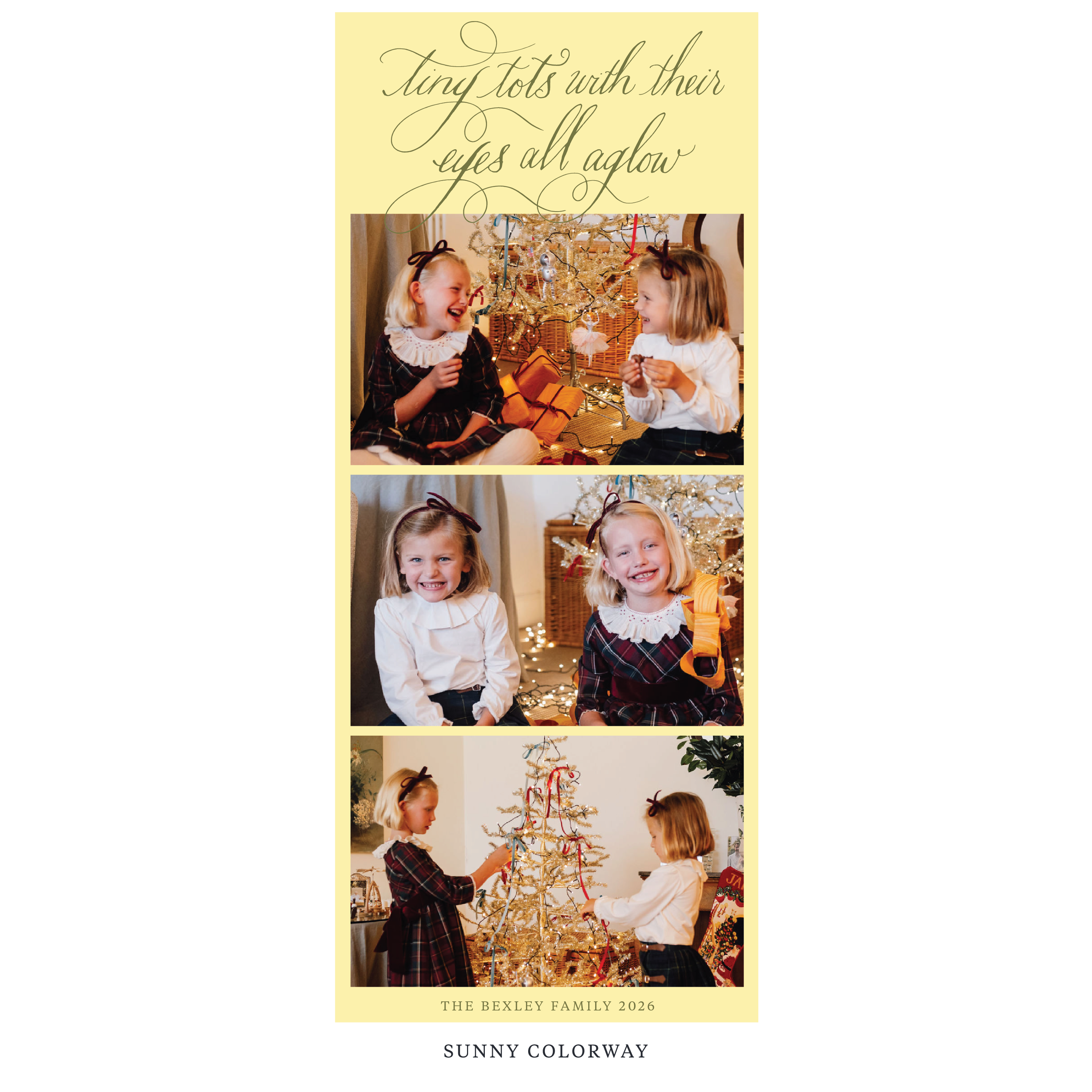 Bexley Digital Photo Holiday Card, Skinny
