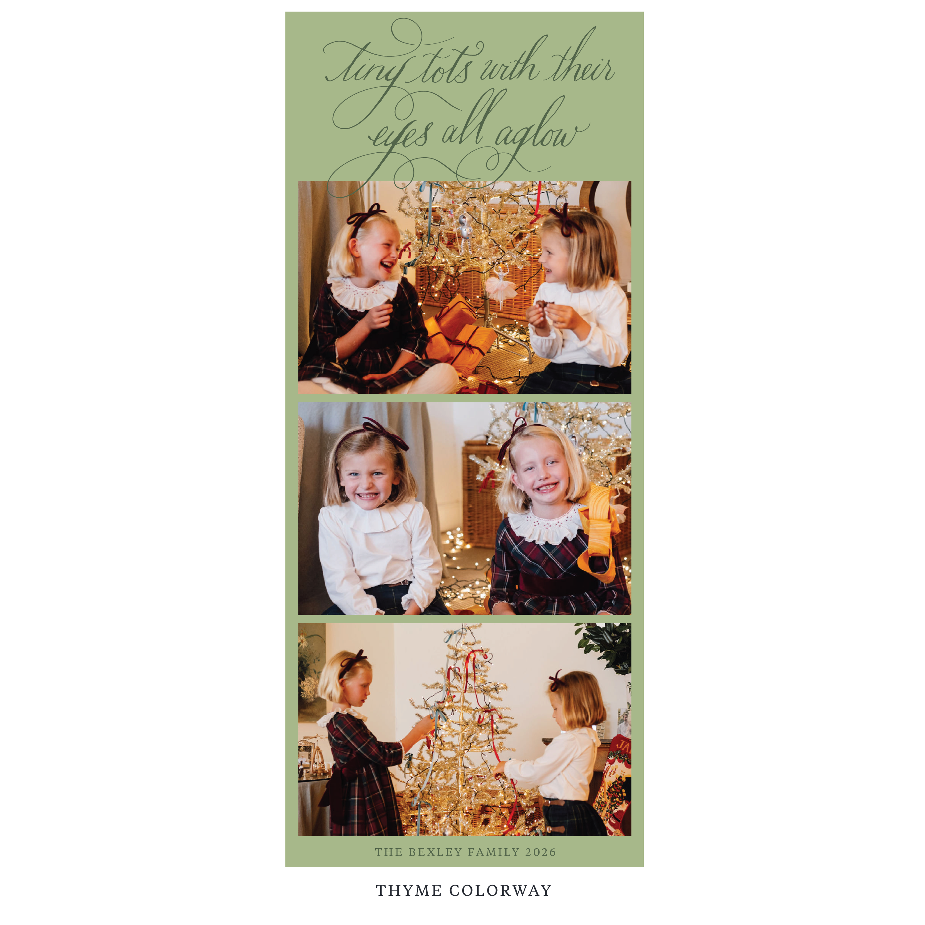 Bexley Digital Photo Holiday Card, Skinny