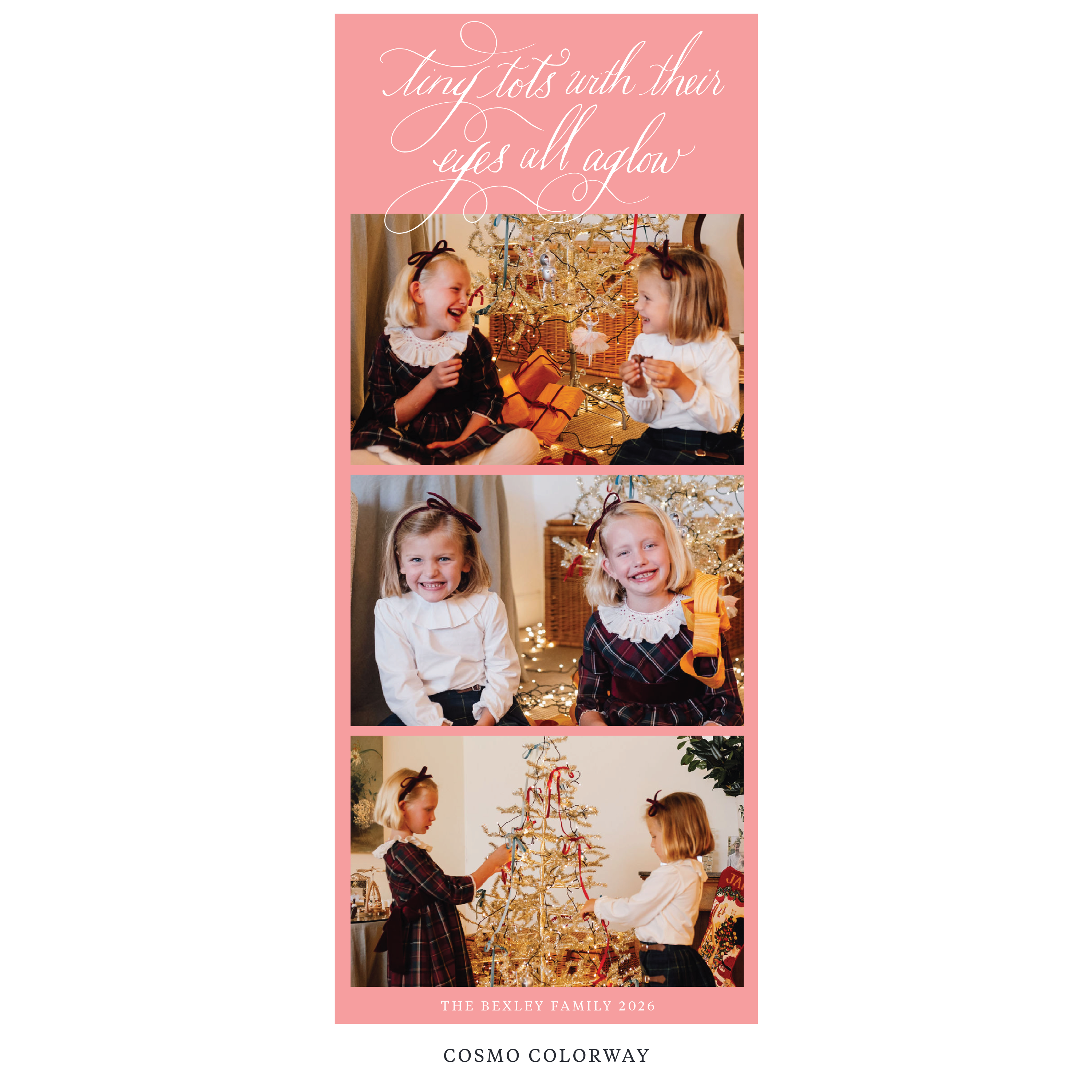 Bexley Digital Photo Holiday Card, Skinny