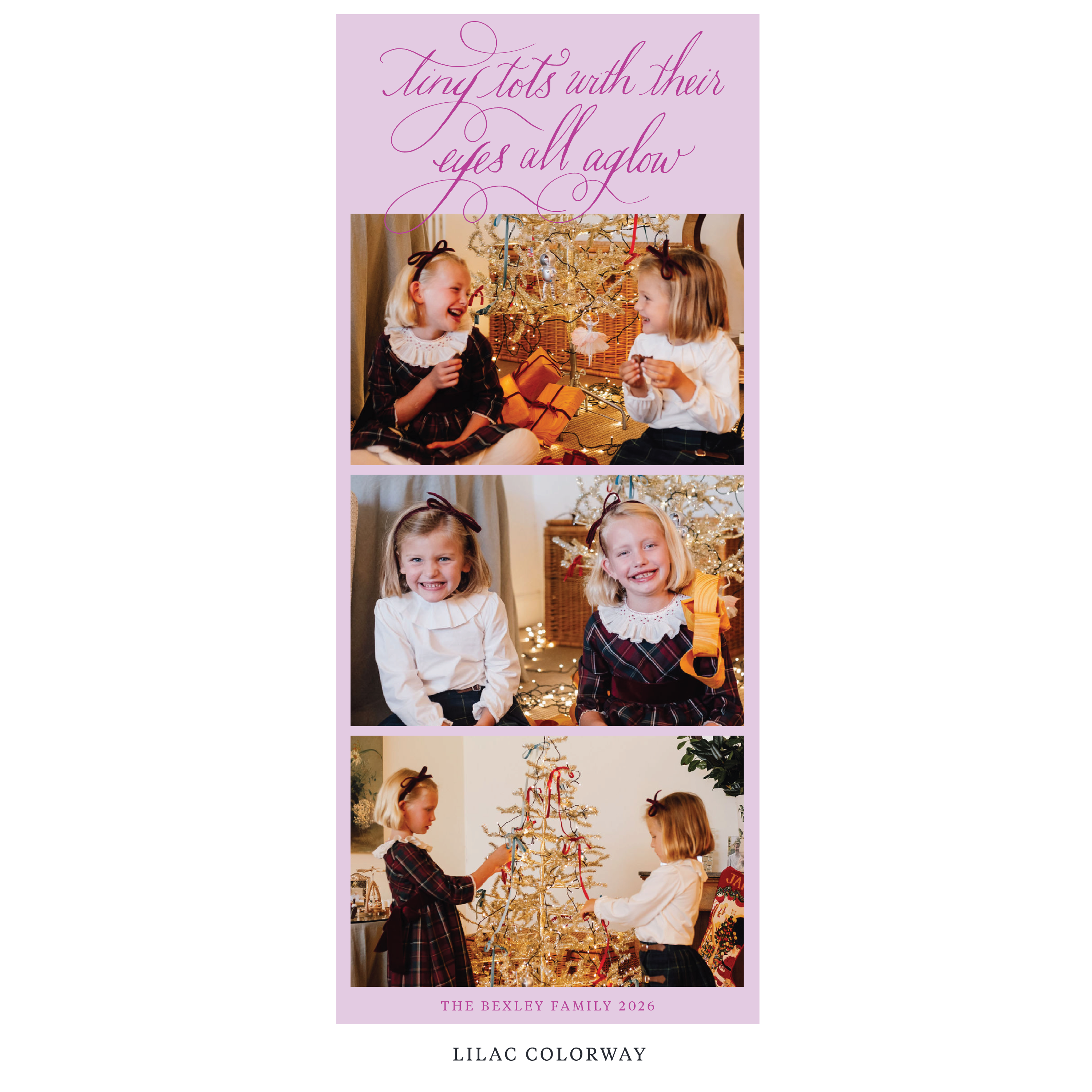 Bexley Digital Photo Holiday Card, Skinny