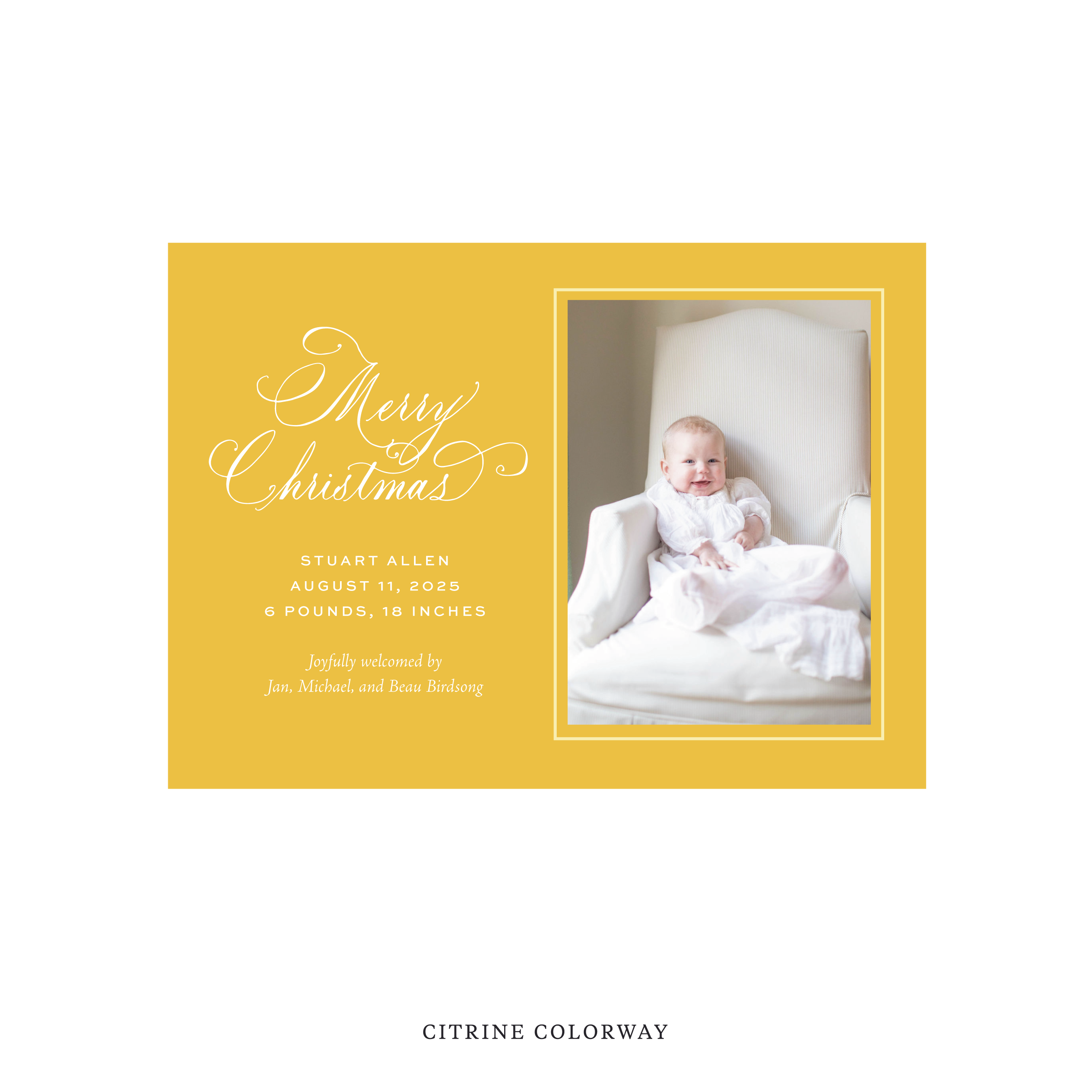 Middleton Classic Flat Print Holiday Card, Medium Birth Announcement