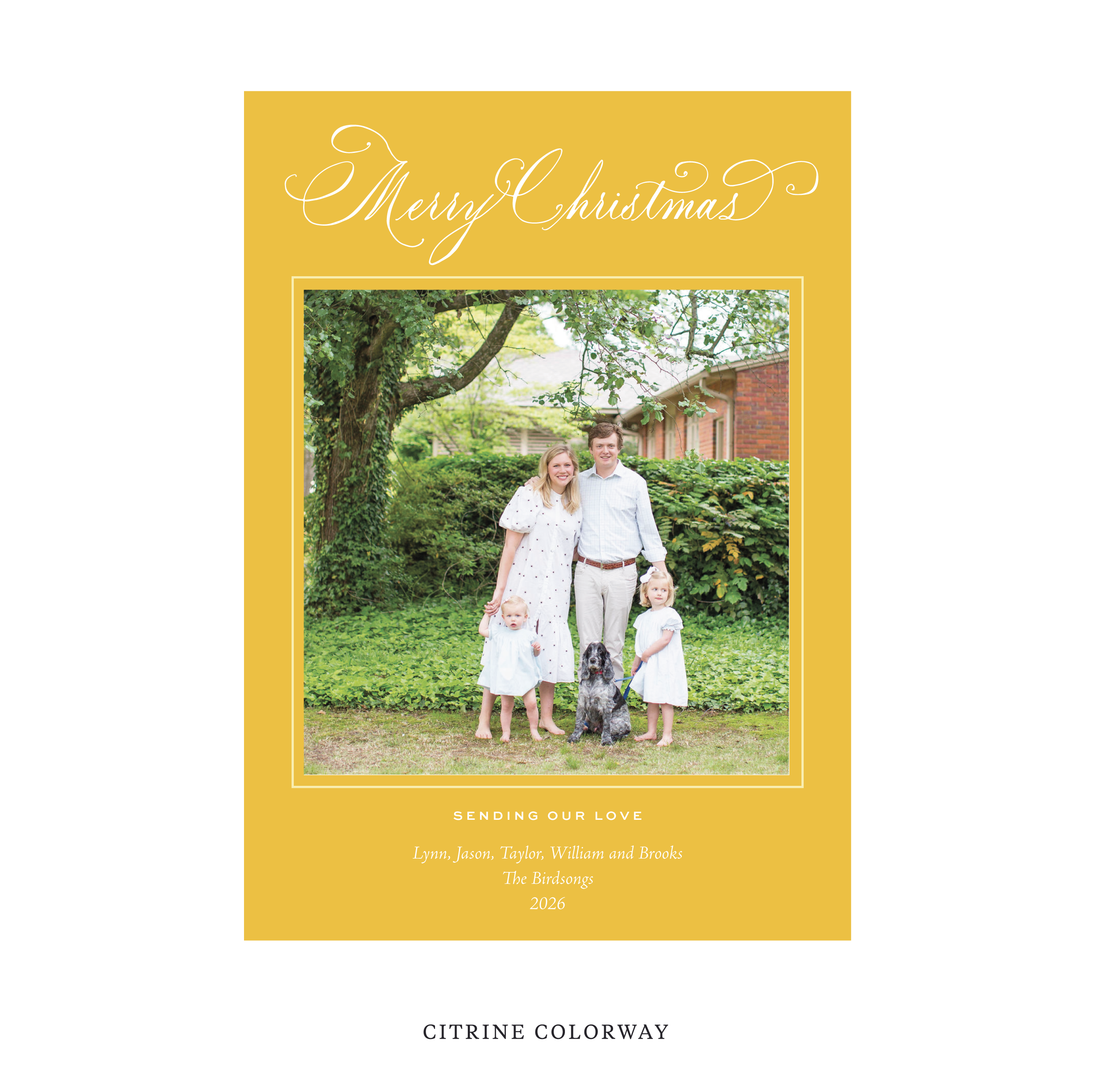 Middleton Classic Flat Print Holiday Card, Large