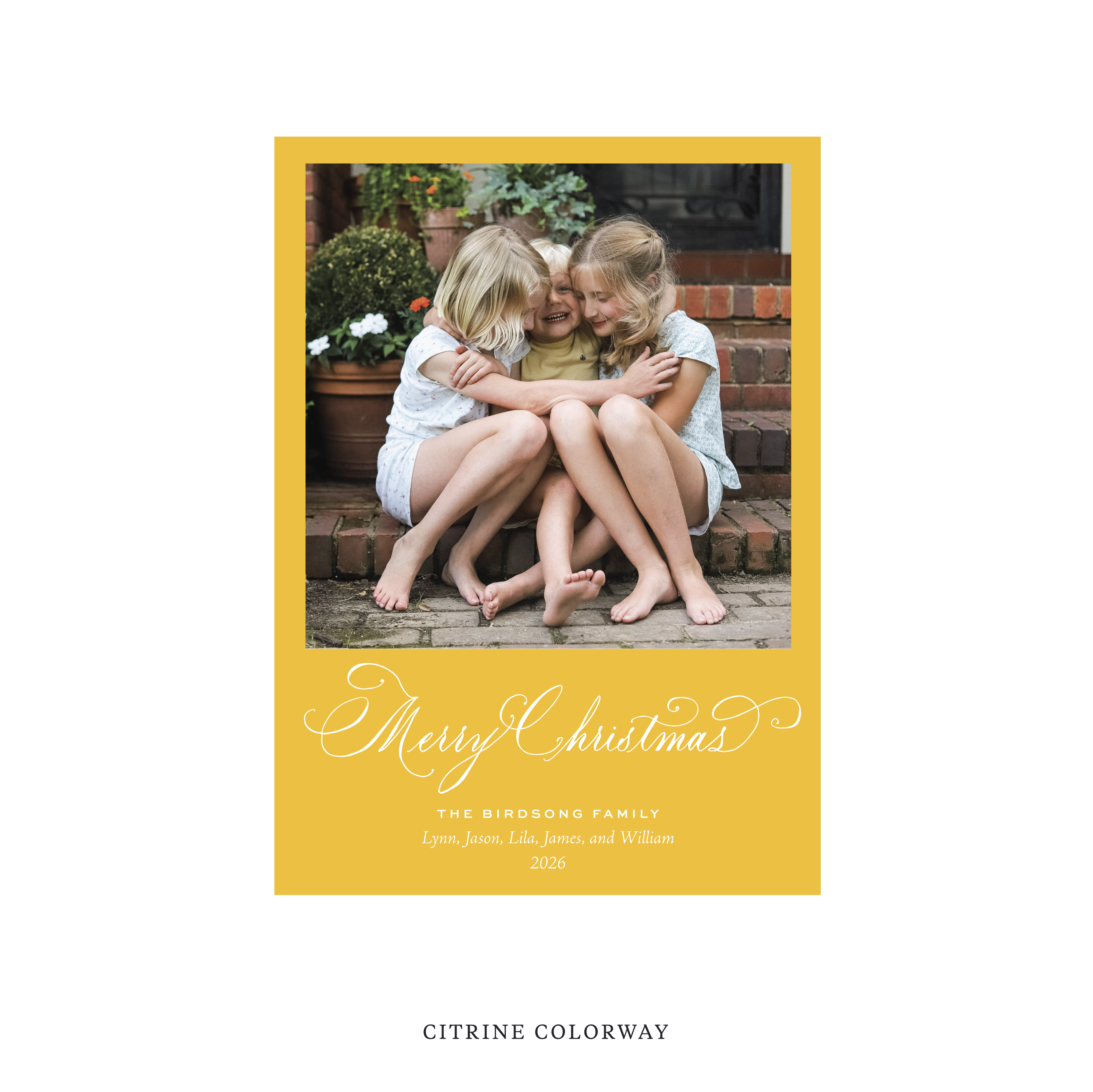 Middleton Classic Flat Print Holiday Card, Medium II