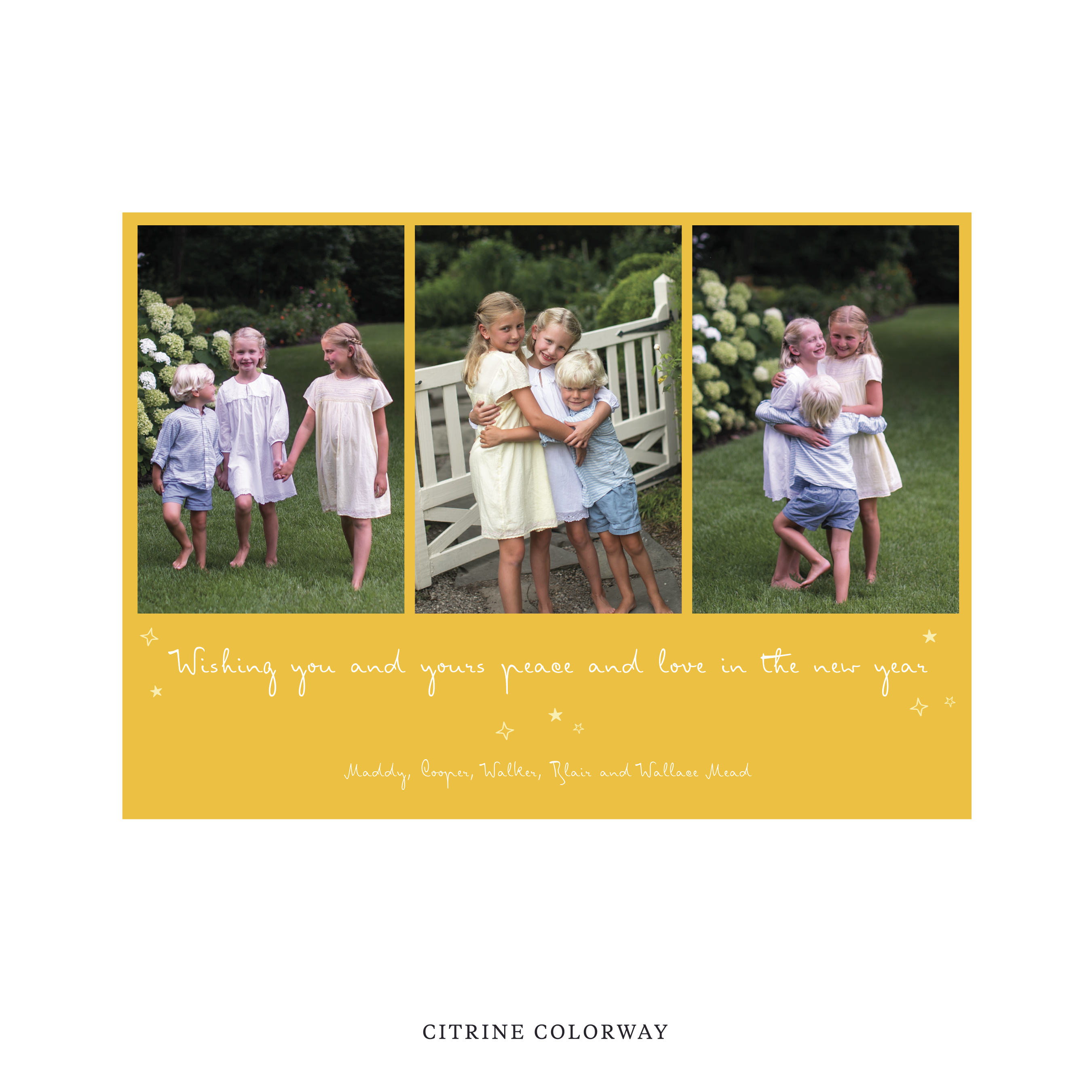 Celebrate the season with the Blythe  "Wishing you and yours peace and love in the New Year" Holiday Card by Stovall Collection. Featuring original hand-lettered artwork, this luxury personalized photo mount holiday card is available in 22 thoughtfully curated flat printing colorways.