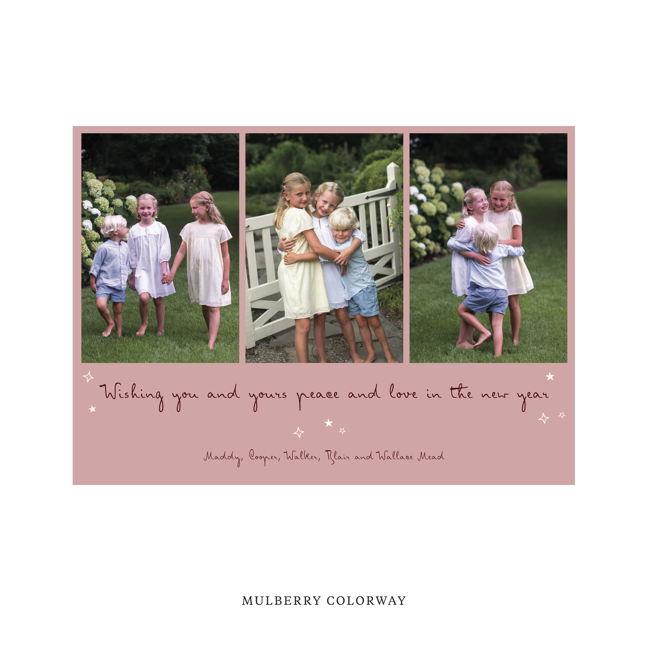 Celebrate the season with the Blythe  "Wishing you and yours peace and love in the New Year" Holiday Card by Stovall Collection. Featuring original hand-lettered artwork, this luxury personalized photo mount holiday card is available in 22 thoughtfully curated flat printing colorways.