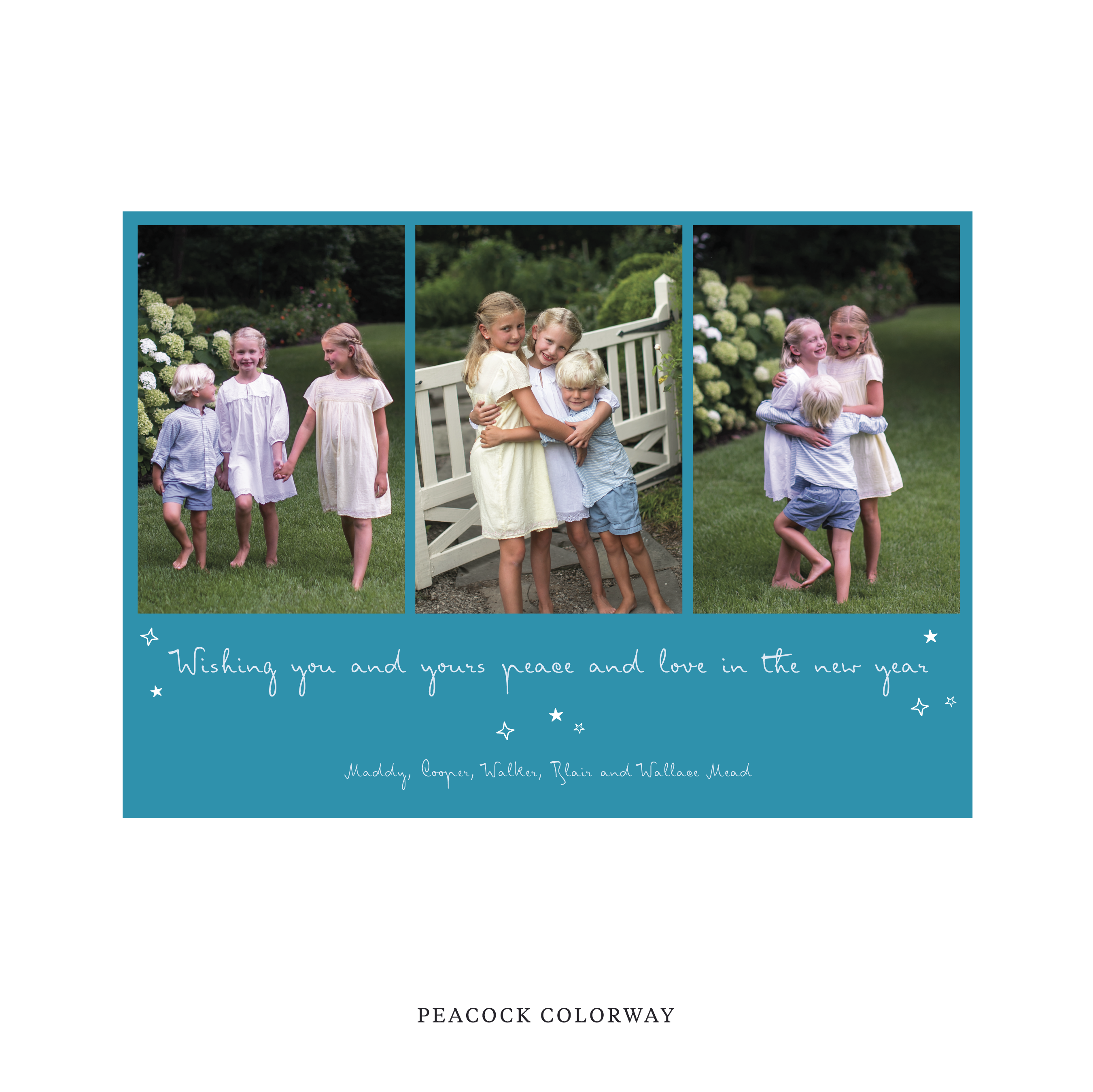 Celebrate the season with the Blythe  "Wishing you and yours peace and love in the New Year" Holiday Card by Stovall Collection. Featuring original hand-lettered artwork, this luxury personalized photo mount holiday card is available in 22 thoughtfully curated flat printing colorways.