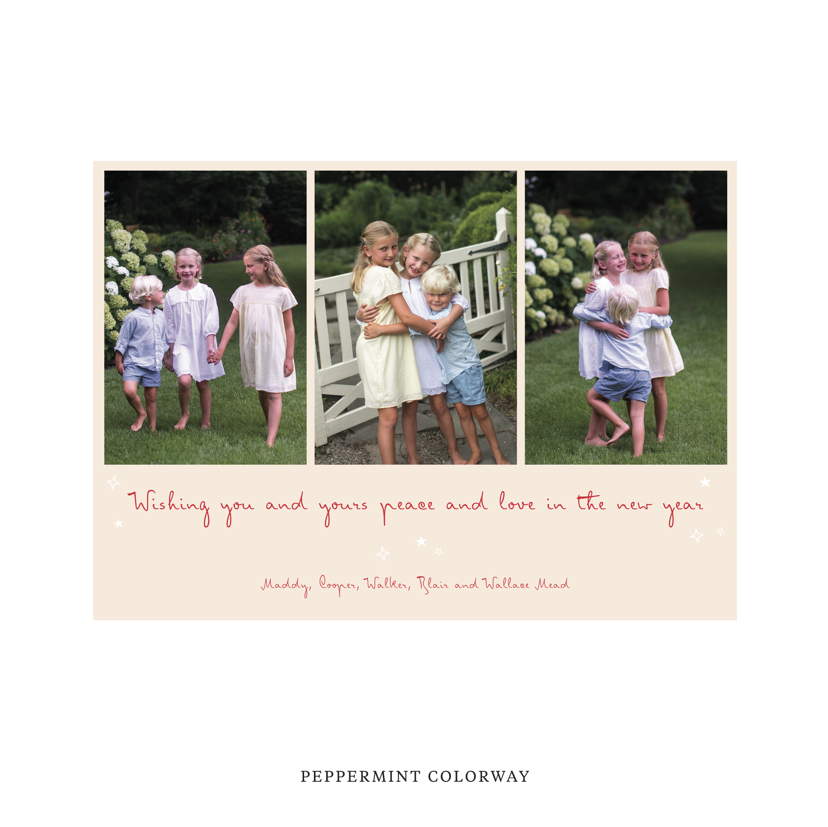 Celebrate the season with the Blythe  "Wishing you and yours peace and love in the New Year" Holiday Card by Stovall Collection. Featuring original hand-lettered artwork, this luxury personalized photo mount holiday card is available in 22 thoughtfully curated flat printing colorways.