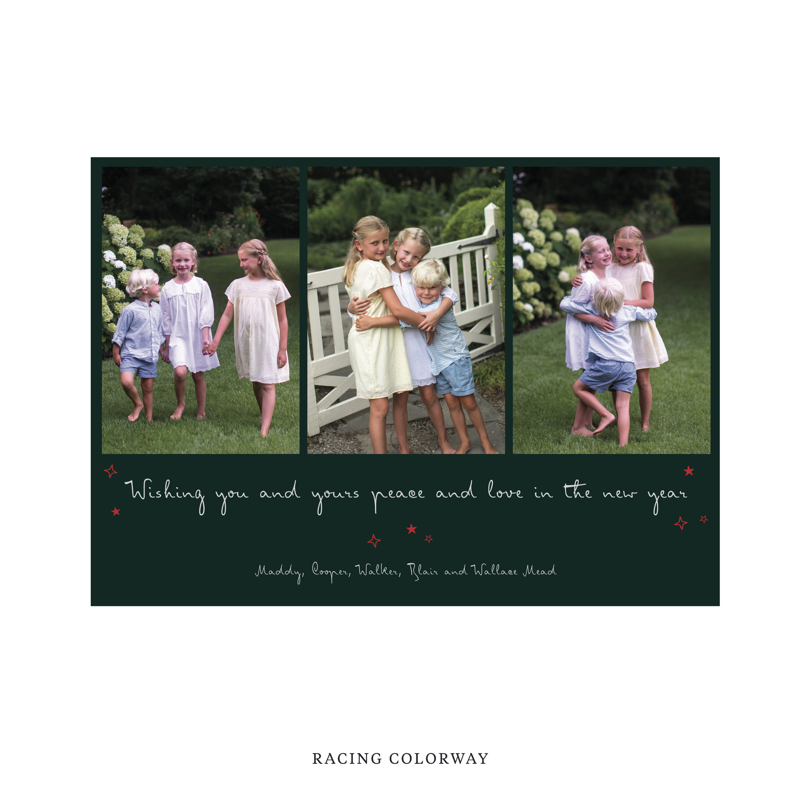 Celebrate the season with the Blythe  "Wishing you and yours peace and love in the New Year" Holiday Card by Stovall Collection. Featuring original hand-lettered artwork, this luxury personalized photo mount holiday card is available in 22 thoughtfully curated flat printing colorways.