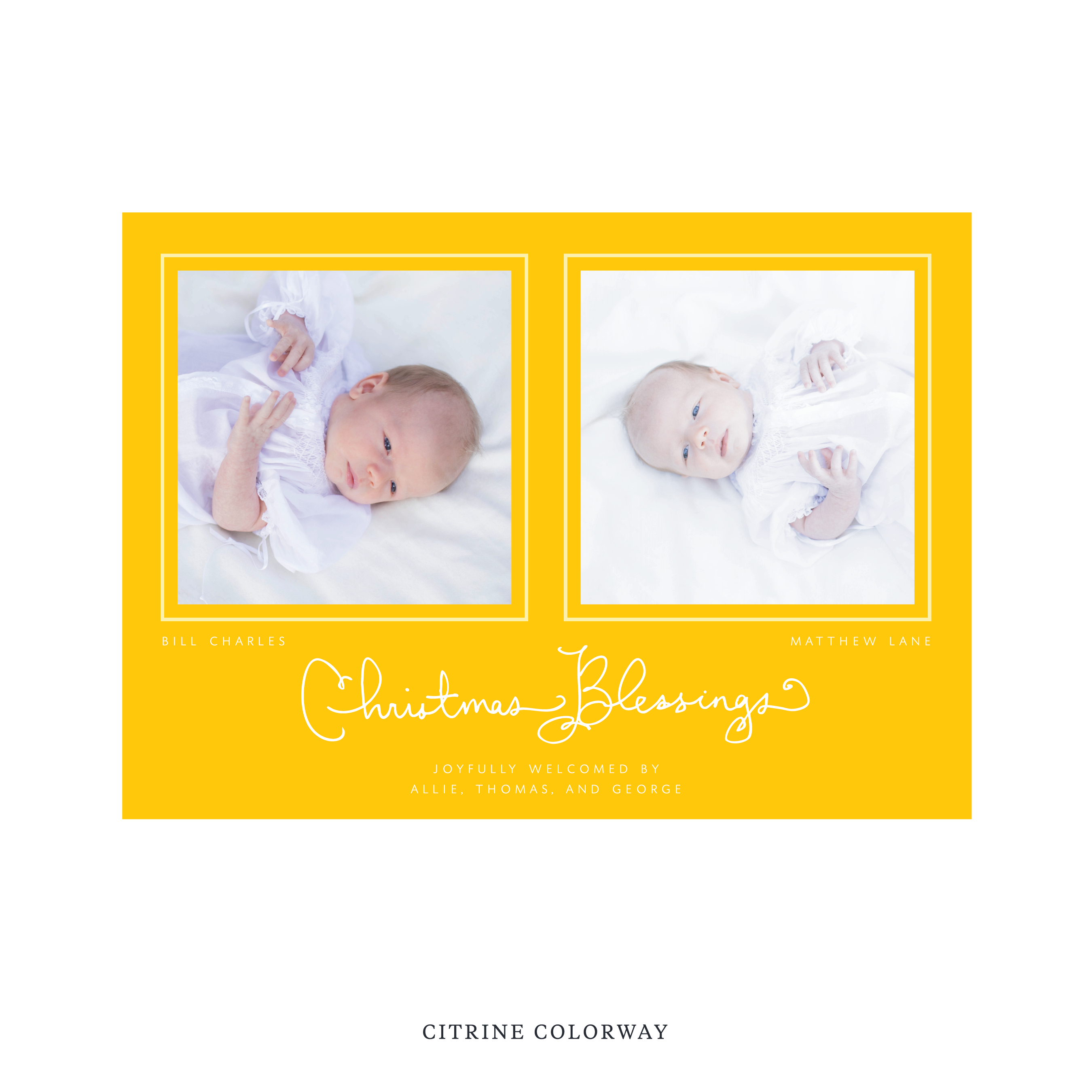 Brantley Birth Announcement Digital Photo Holiday Card, Large