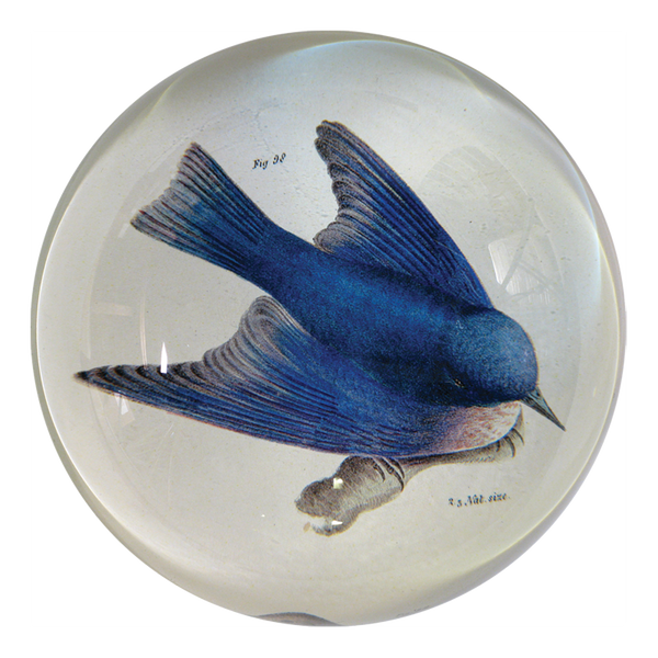 Pudgy Bluebird Dome Paperweight