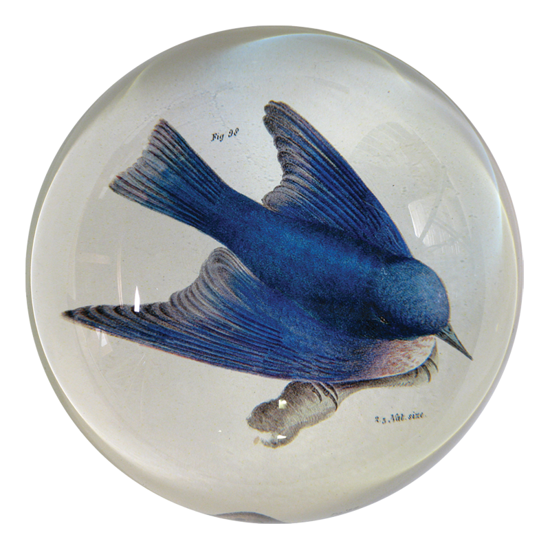 Pudgy Bluebird Dome Paperweight