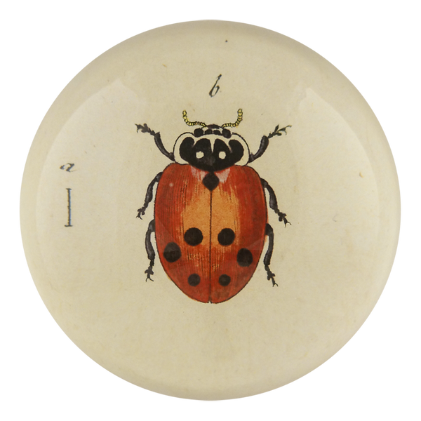 Little Ladybug Dome Paperweight