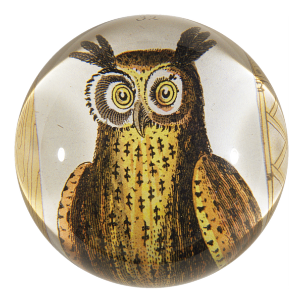 Owl Dome Paperweight