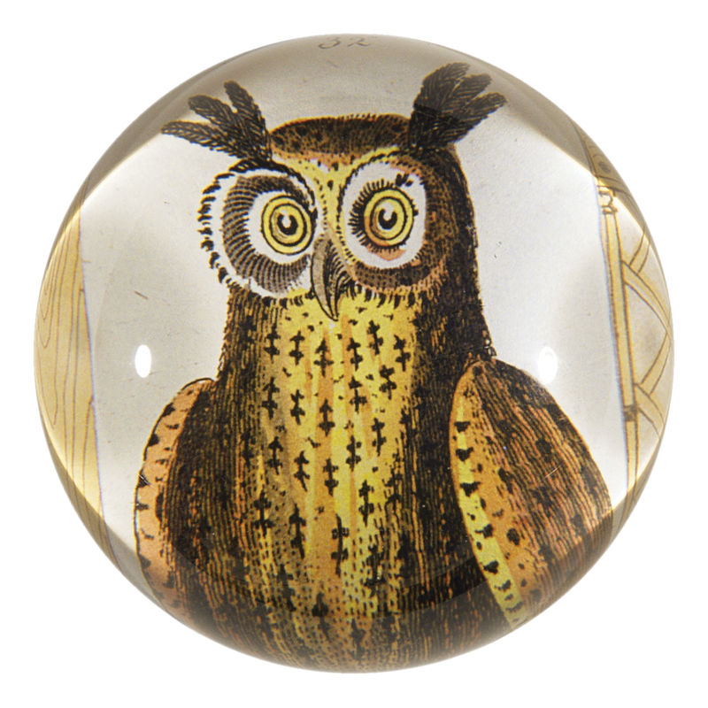 Owl Dome Paperweight