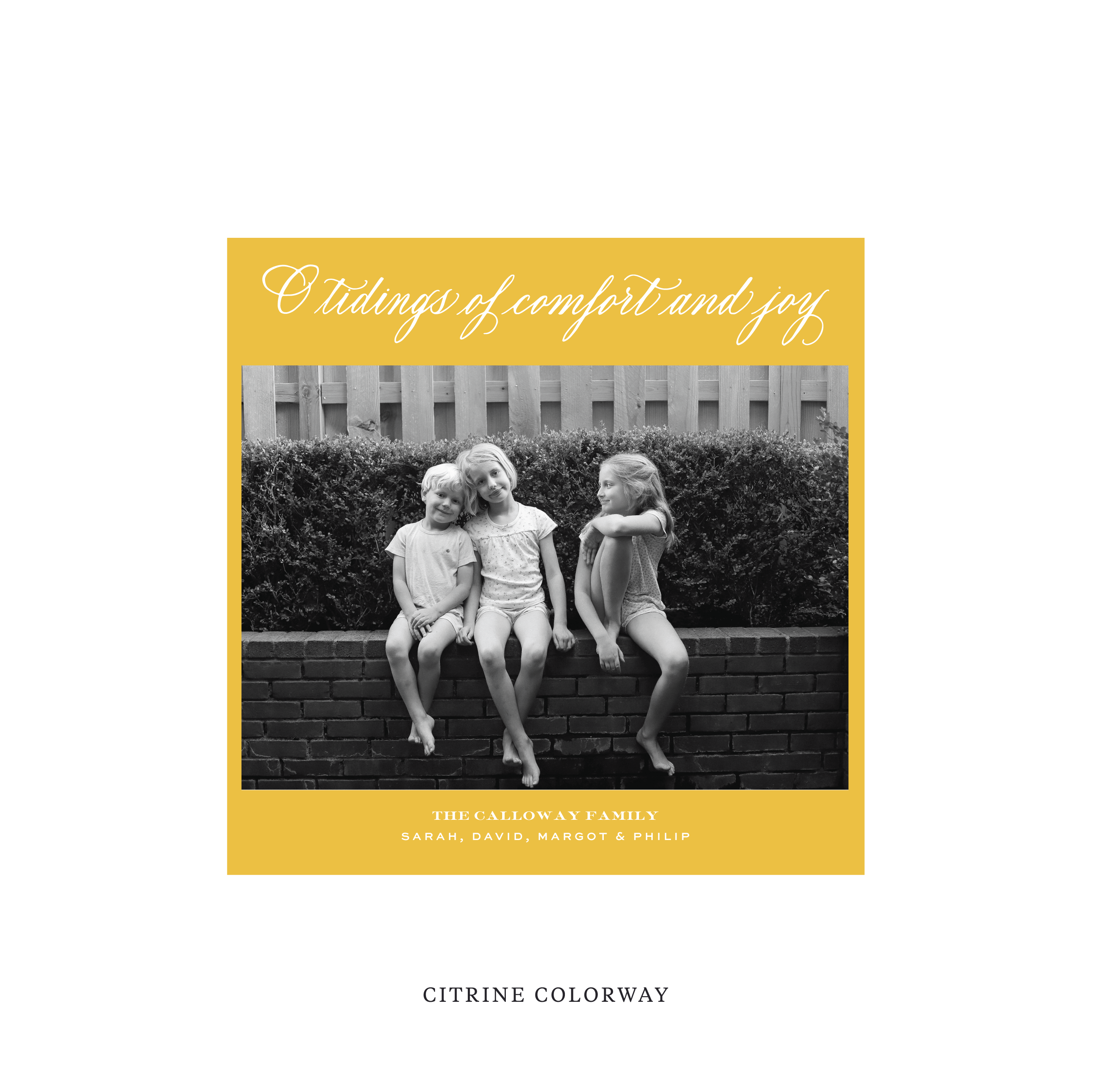 Calloway Flat Print Holiday Card, Square