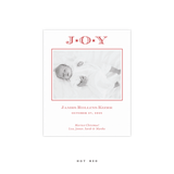 Celeste Small Letterpress Birth Announcement