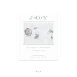 Celeste Small Letterpress Birth Announcement