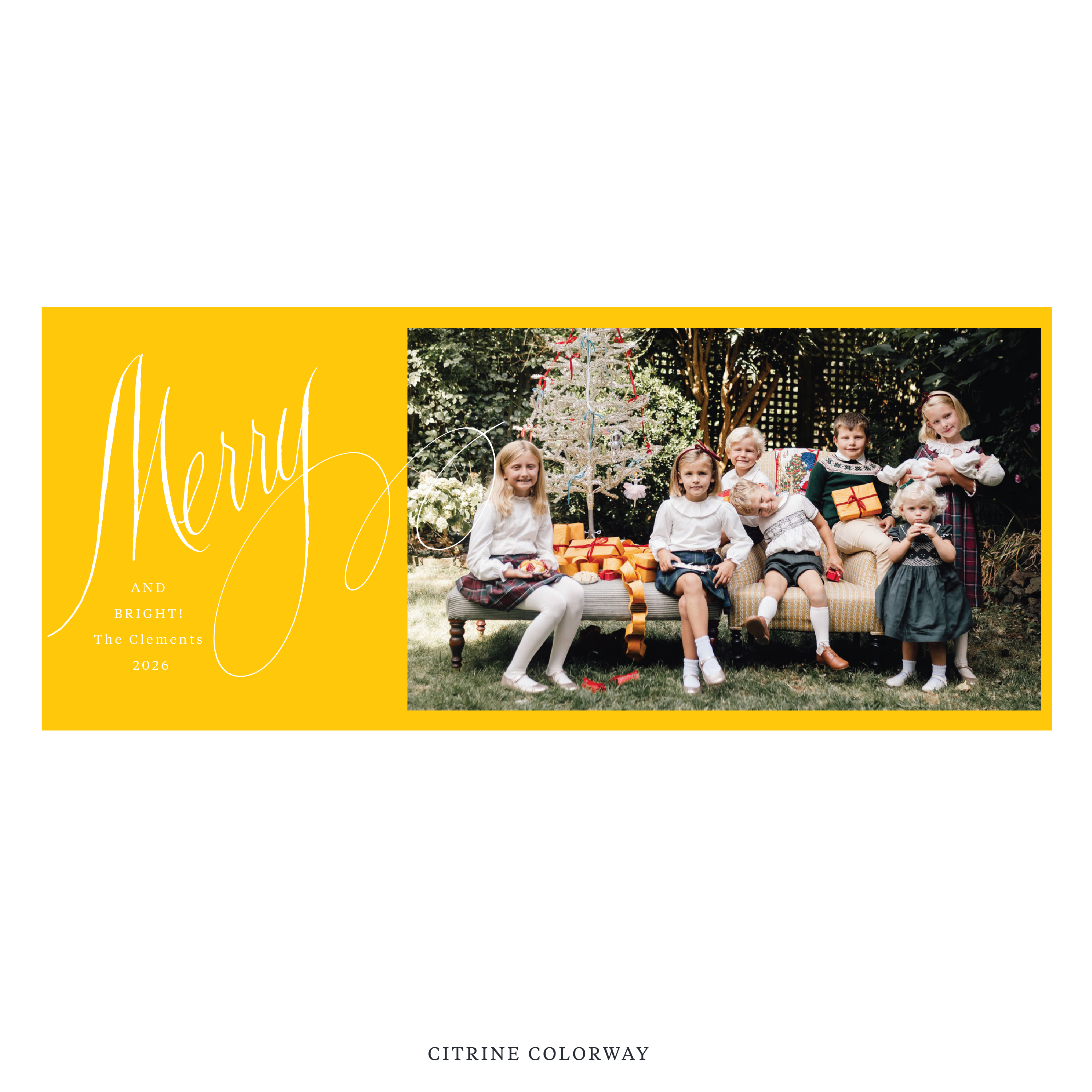 Clement Digital Photo Holiday Card, Skinny