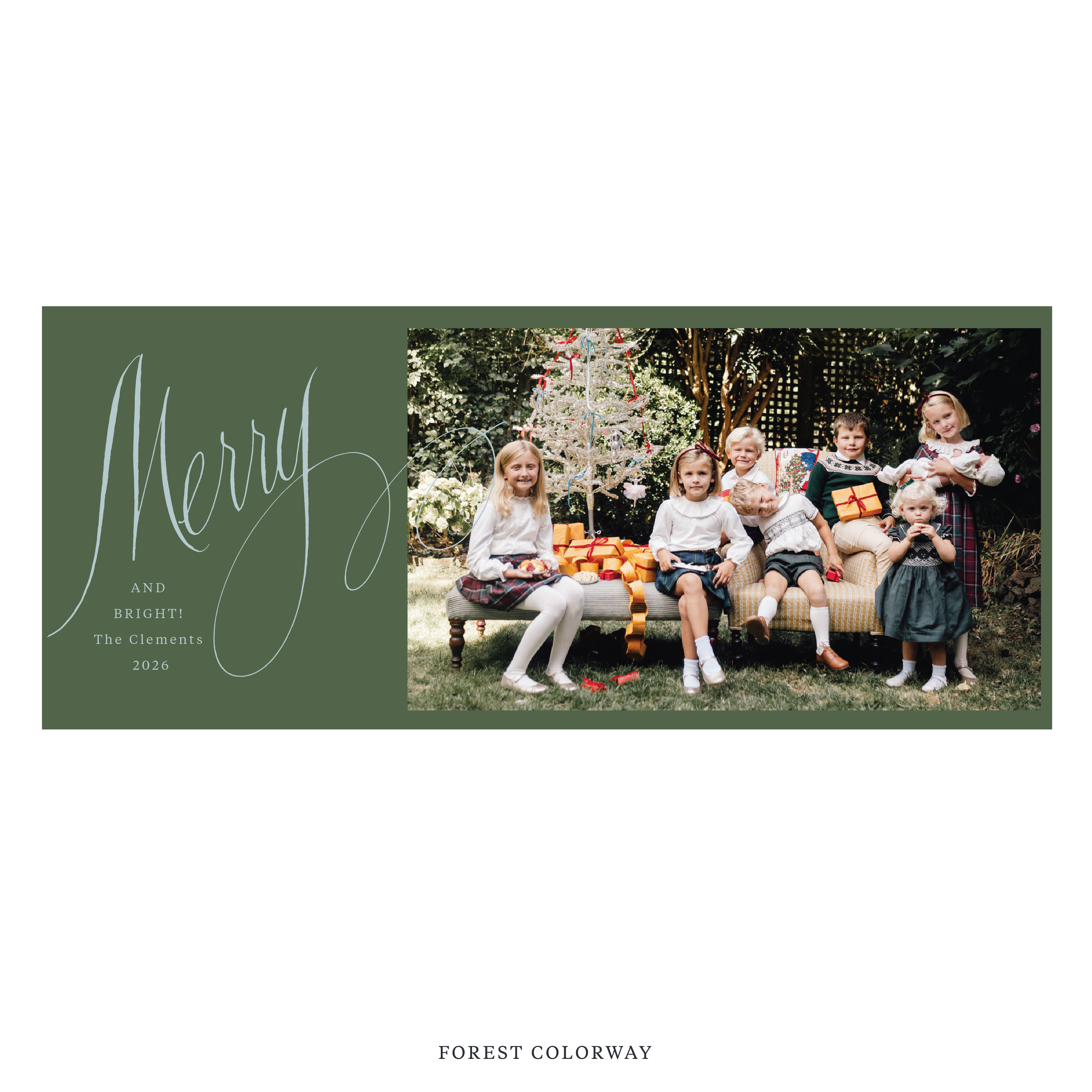 Clement Digital Photo Holiday Card, Skinny