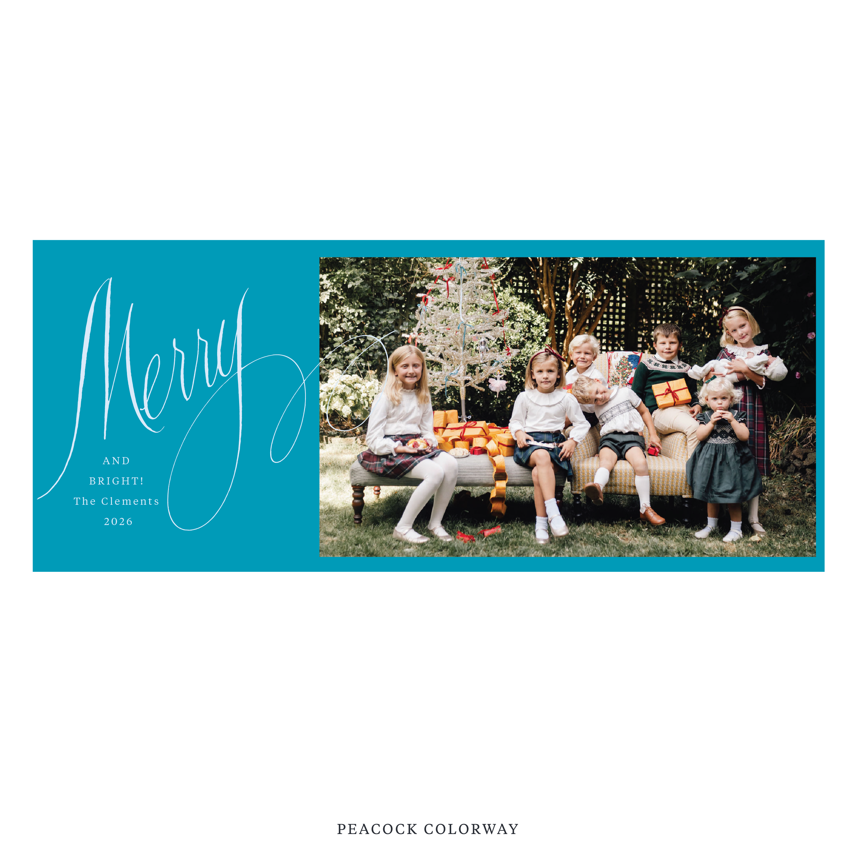 Clement Digital Photo Holiday Card, Skinny