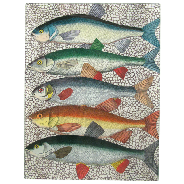 Some Fish 8 x 10.5" Tray