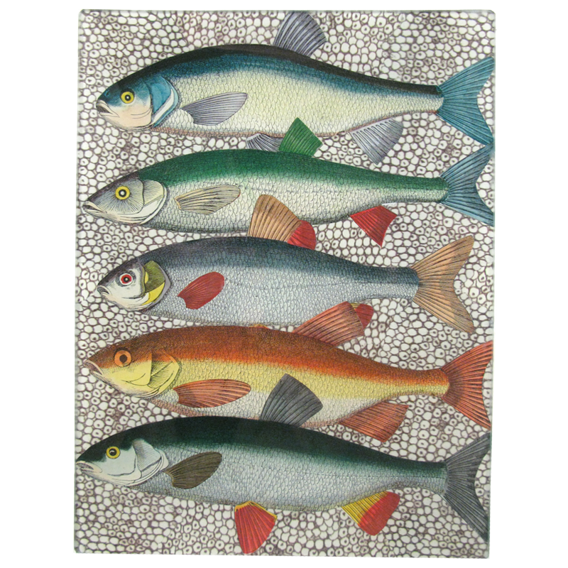 Some Fish 8 x 10.5" Tray