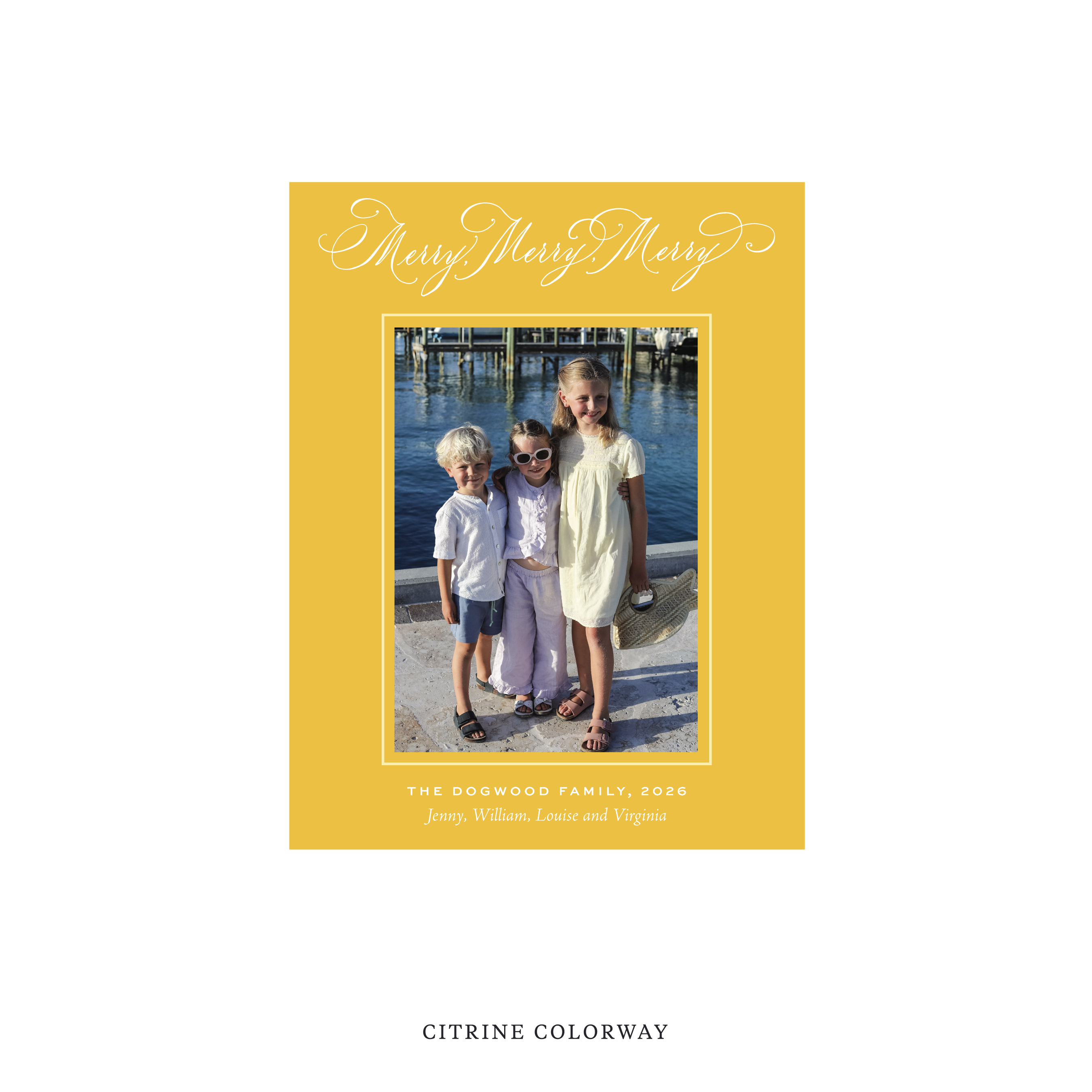 Ludlow Classic Flat Print Holiday Card, Small