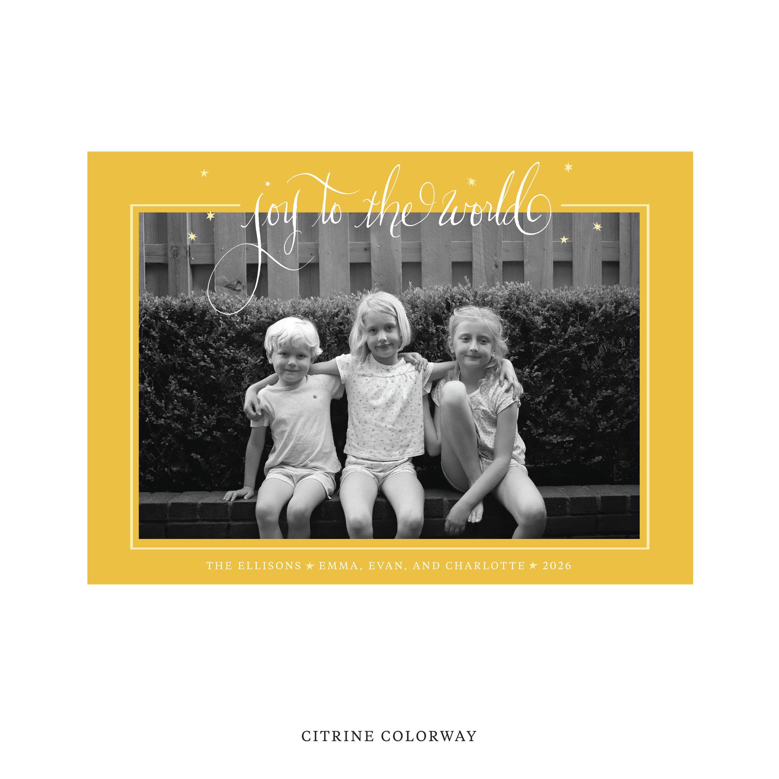 Celebrate the season with the Ellison "Joy to the World" Holiday Card by Stovall Collection. Featuring original hand-lettered artwork, this luxury personalized photo mount holiday card is available in 22 thoughtfully curated flat printing colorways.