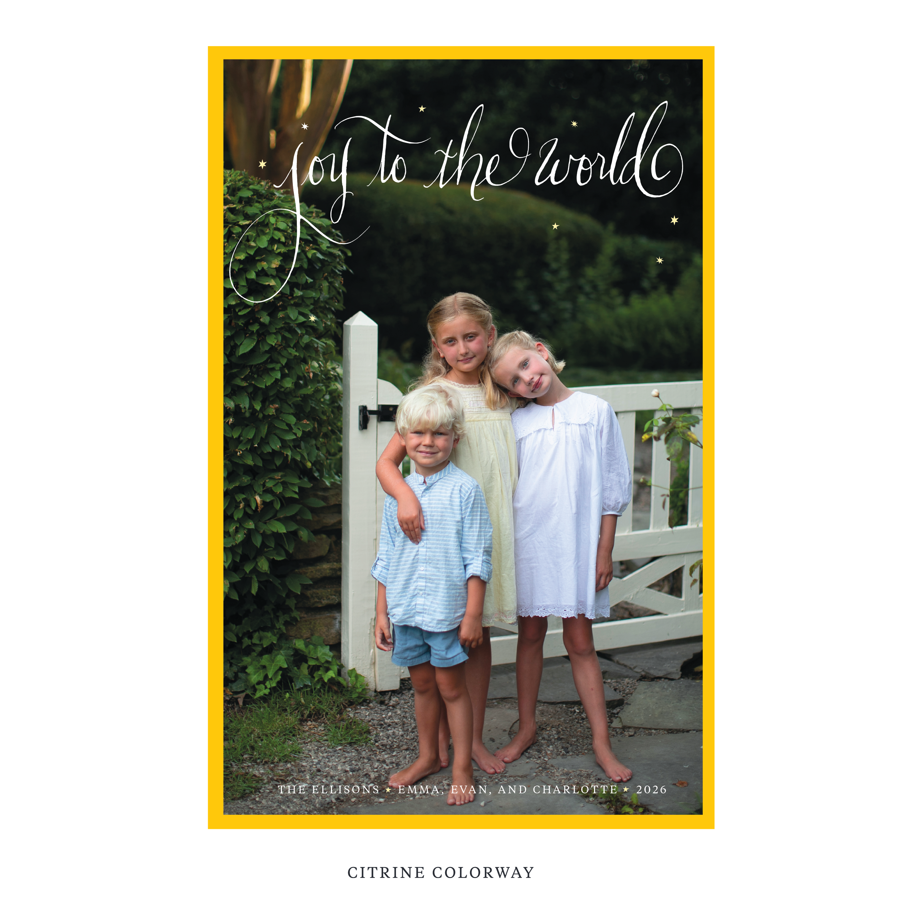 Ellison Digital Photo Holiday Card, Extra Large