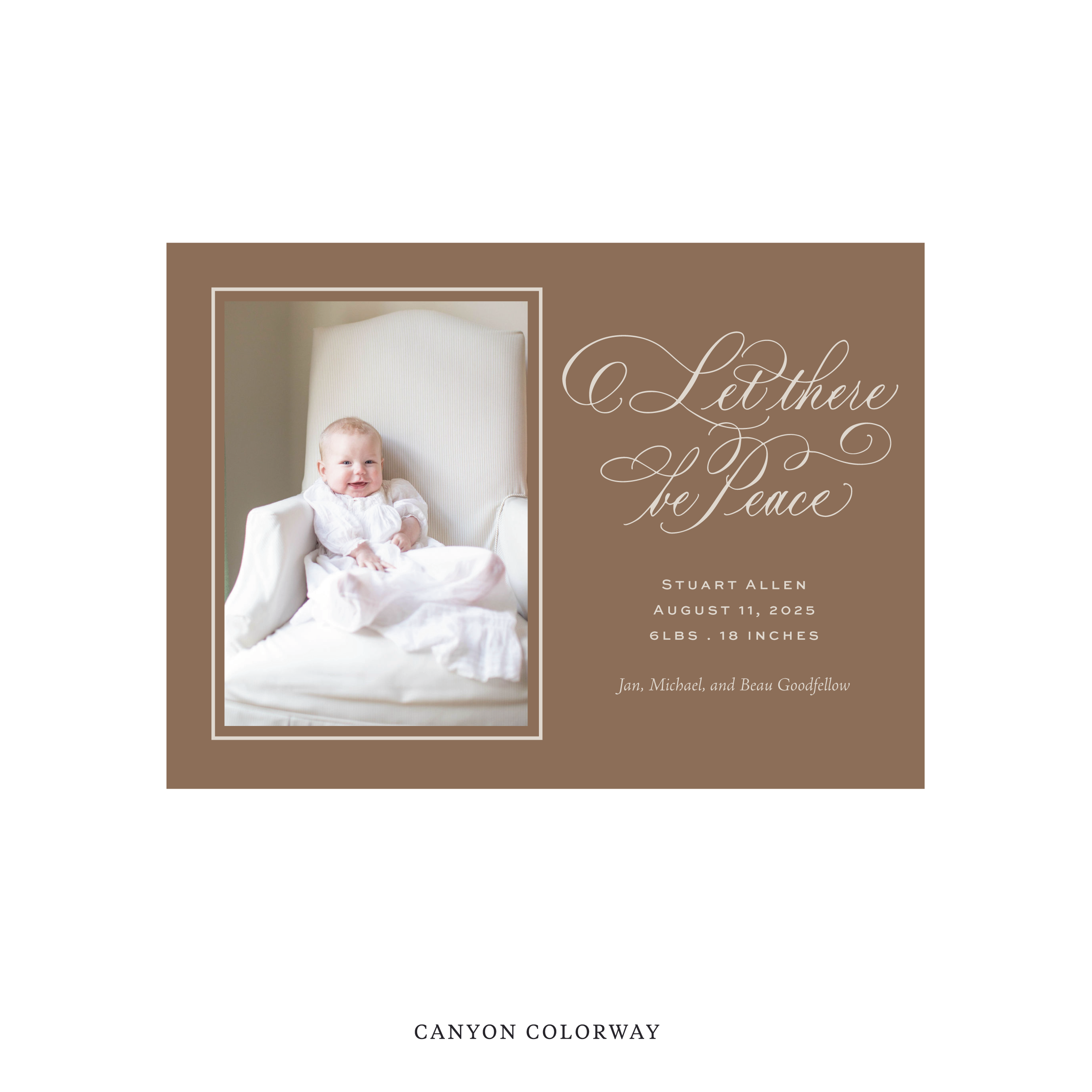 Goodfellow Classic Flat Print Holiday Card, Birth Announcement Medium