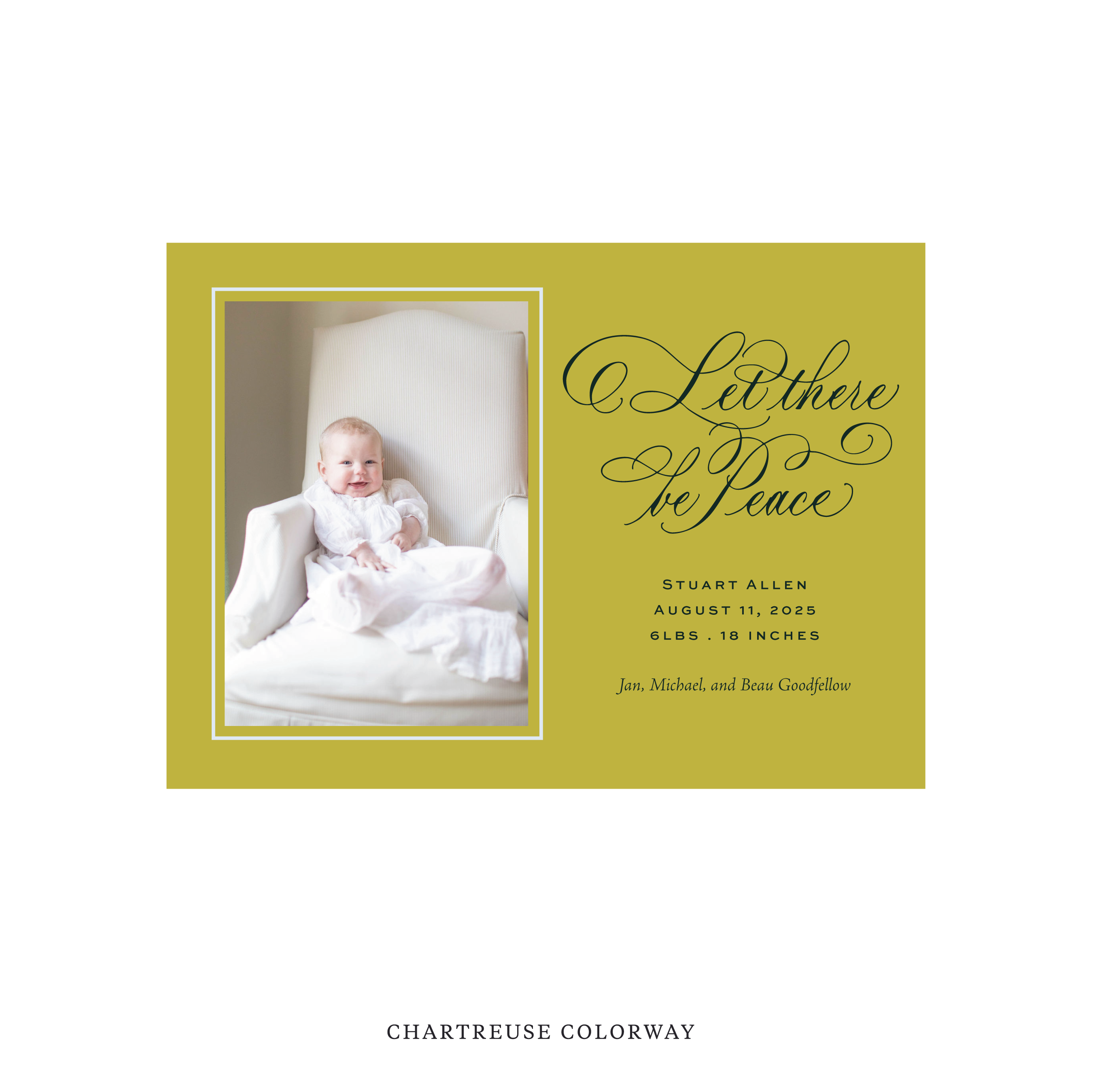 Goodfellow Classic Flat Print Holiday Card, Birth Announcement Medium