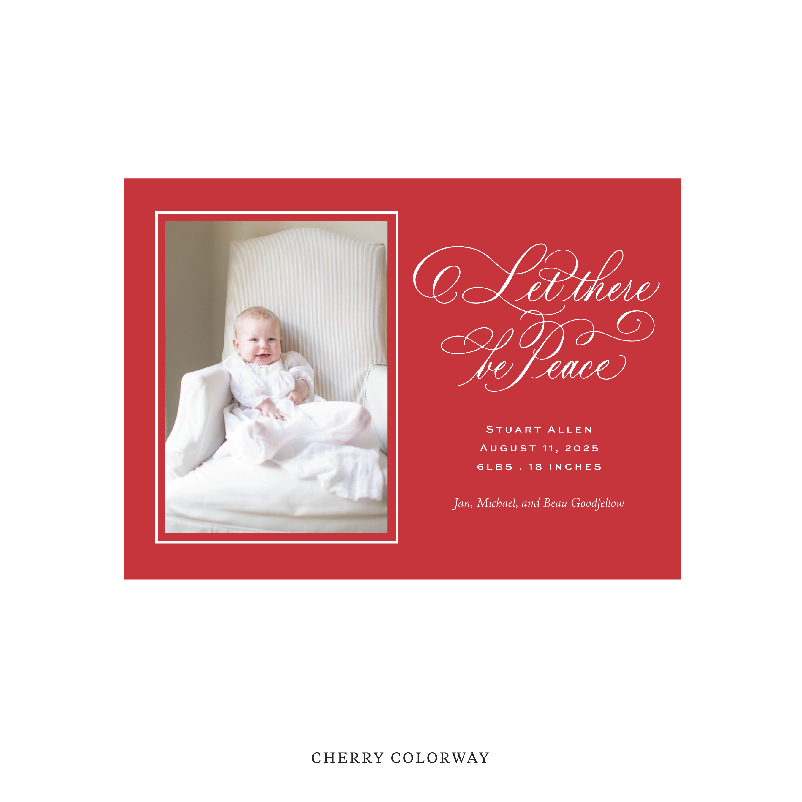Goodfellow Classic Flat Print Holiday Card, Birth Announcement Medium