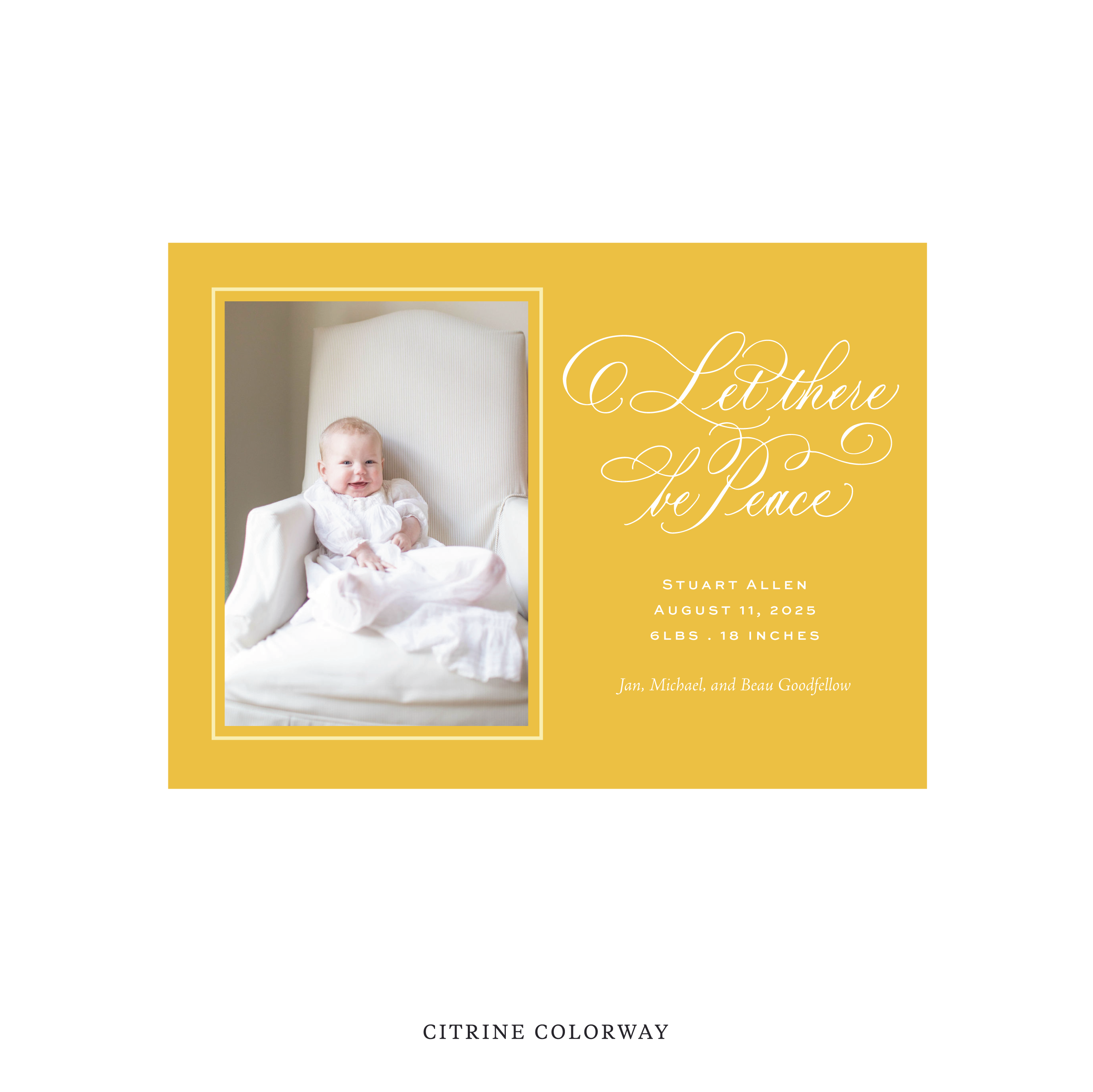 Goodfellow Classic Flat Print Holiday Card, Birth Announcement Medium