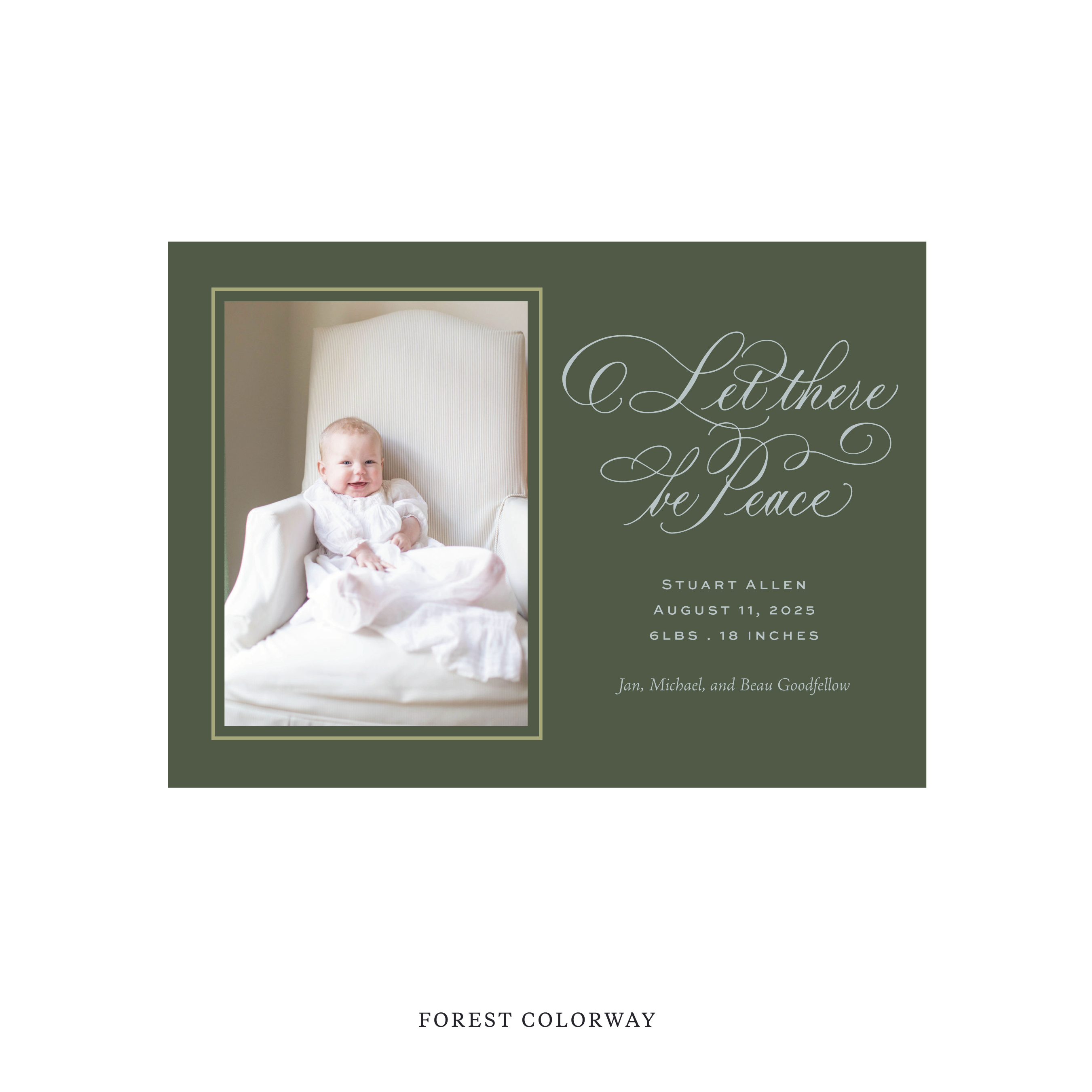 Goodfellow Classic Flat Print Holiday Card, Birth Announcement Medium