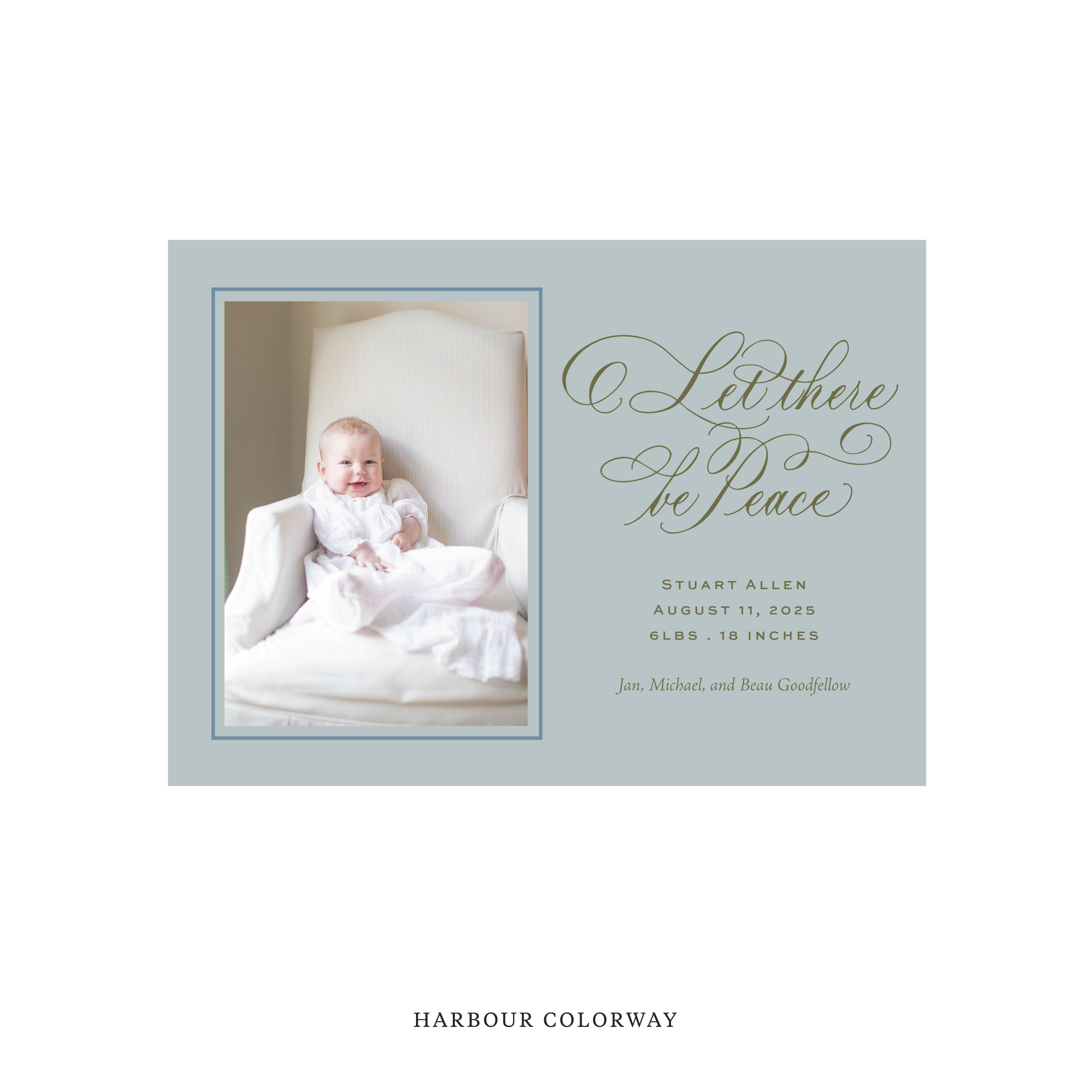 Goodfellow Classic Flat Print Holiday Card, Birth Announcement Medium