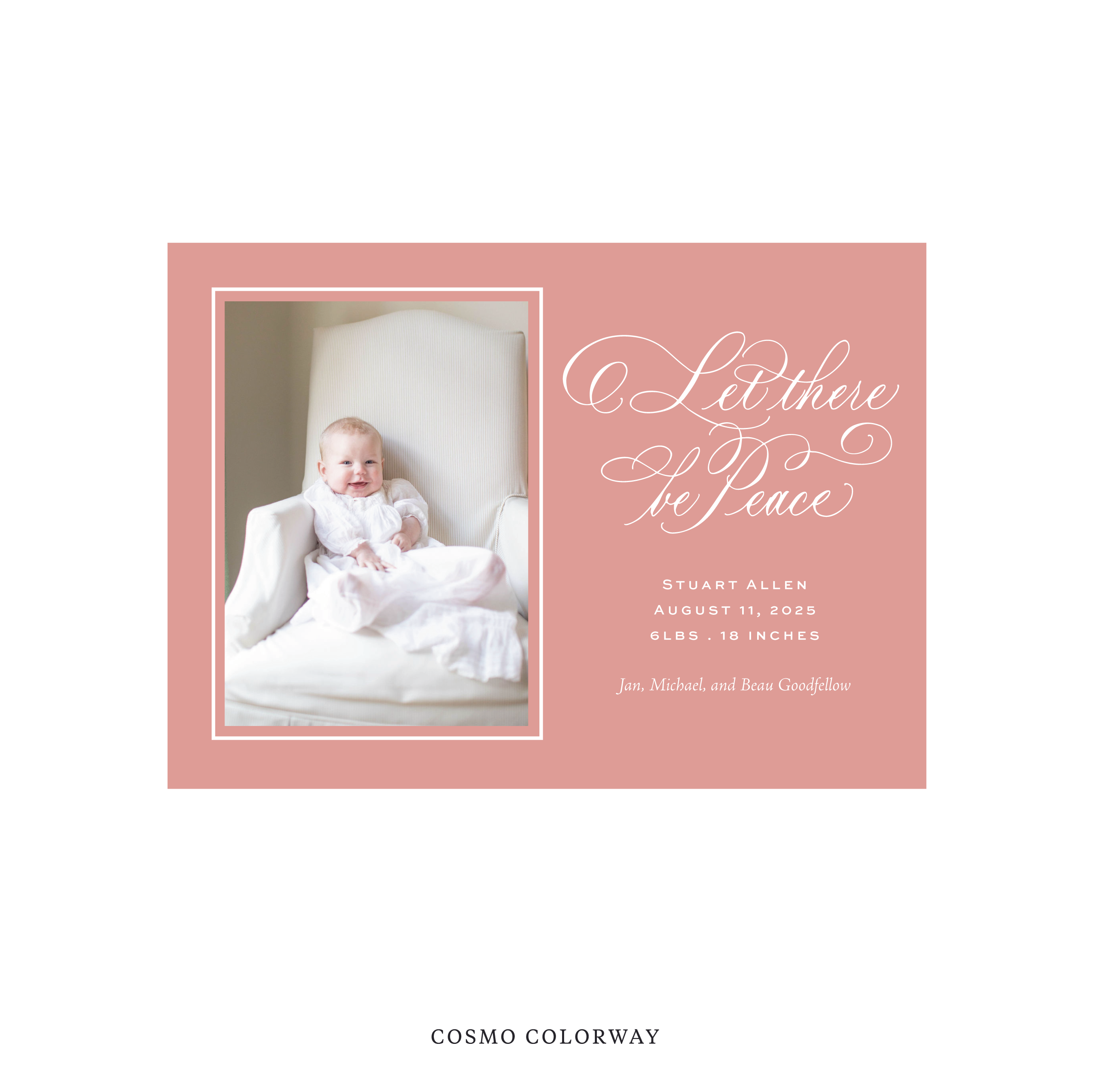 Goodfellow Classic Flat Print Holiday Card, Birth Announcement Medium