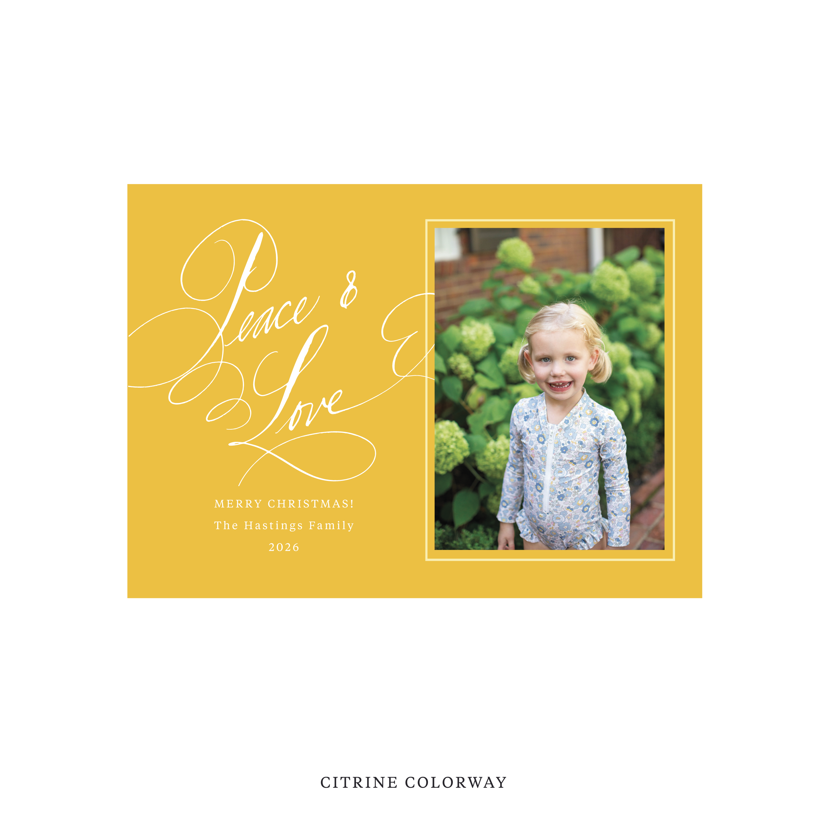 Hastings Classic Flat Print Holiday Card, Medium