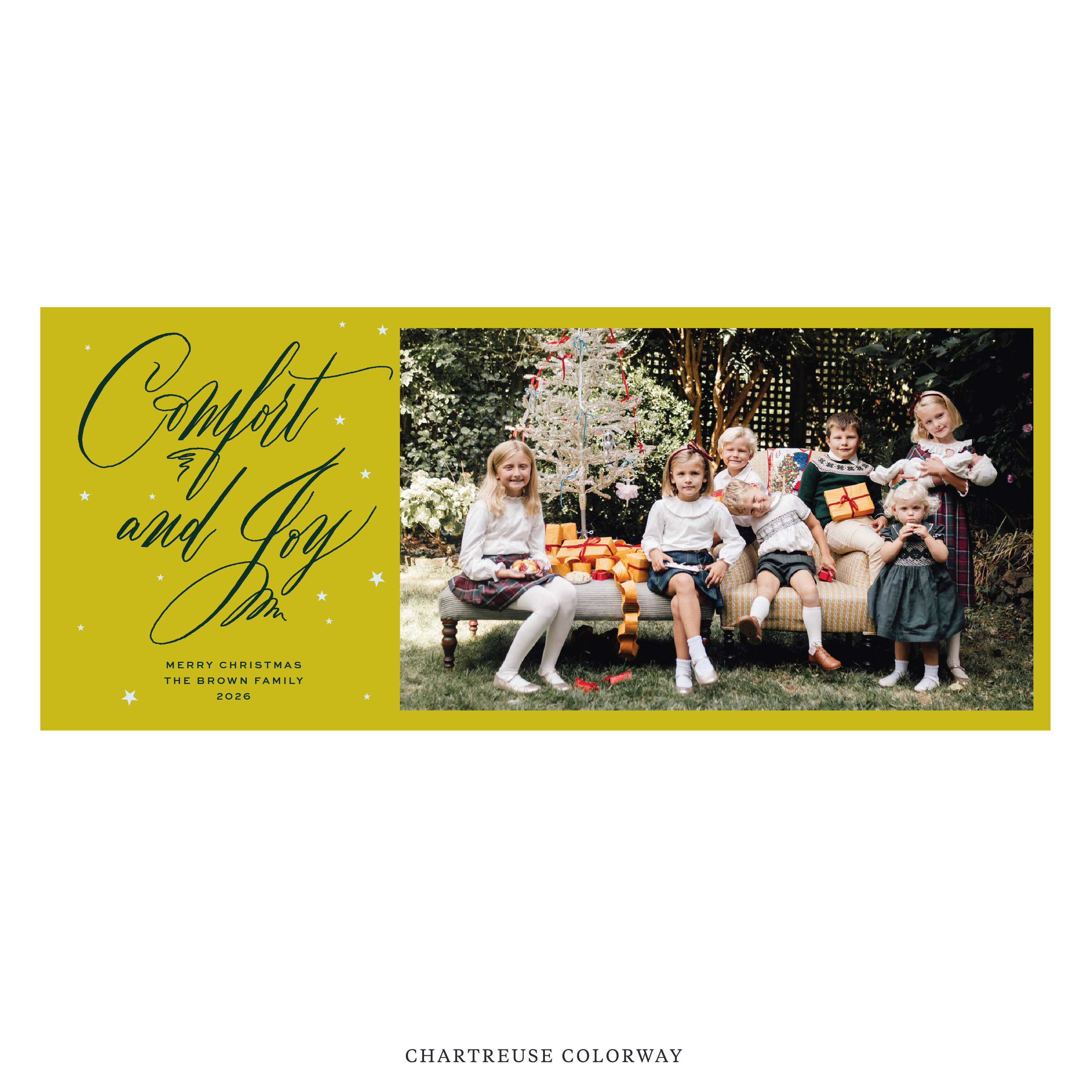 Hawthorne Digital Photo Holiday Card, Skinny
