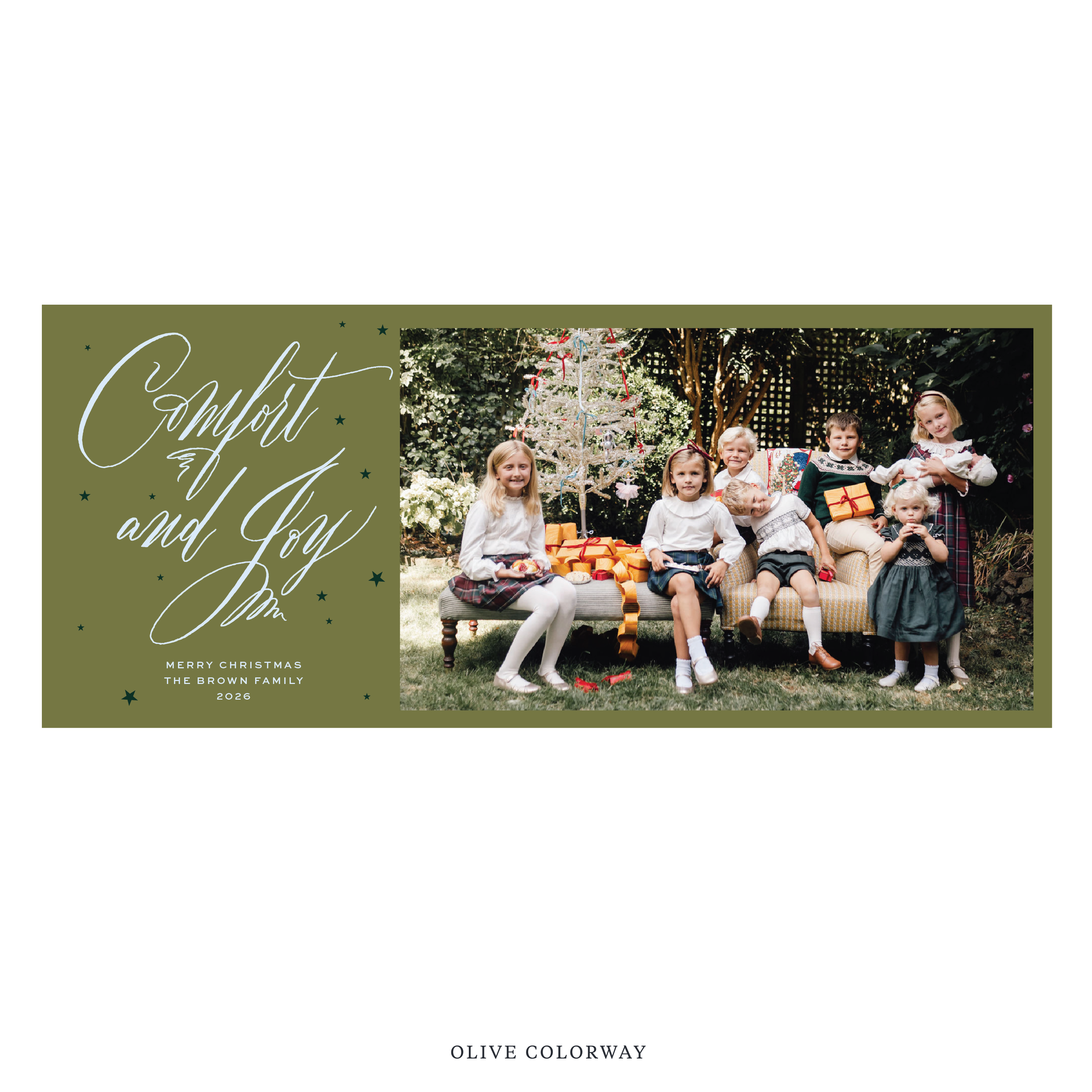 Hawthorne Digital Photo Holiday Card, Skinny