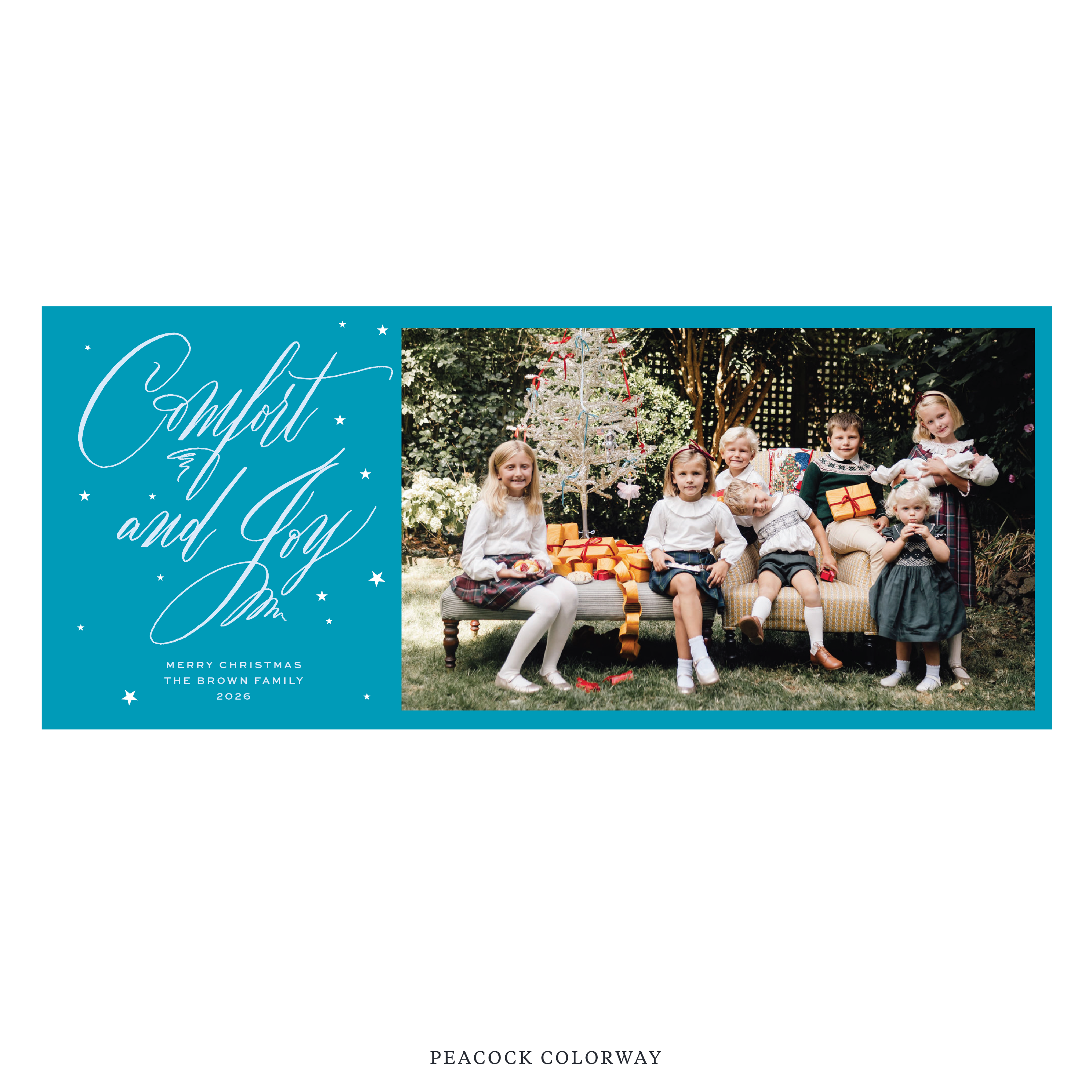 Hawthorne Digital Photo Holiday Card, Skinny