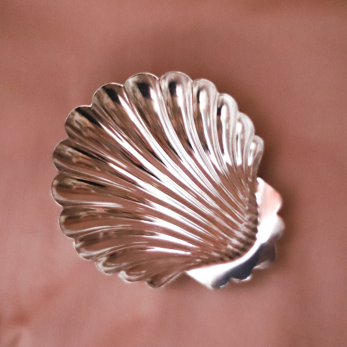 Antique Victorian Sterling Silver Scallop Shell Dish, London 1897