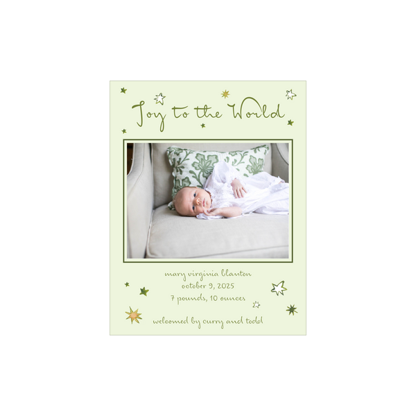 Illaria Small Classic Printed Birth Announcement Holiday Card