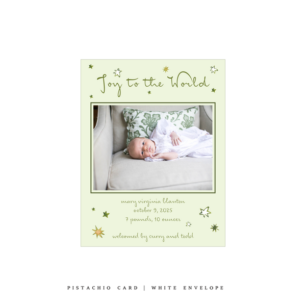 Illaria Small Classic Printed Birth Announcement Holiday Card