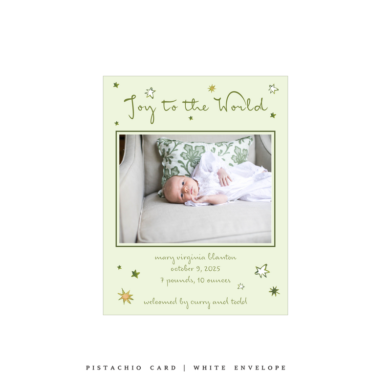 Illaria Small Classic Printed Birth Announcement Holiday Card