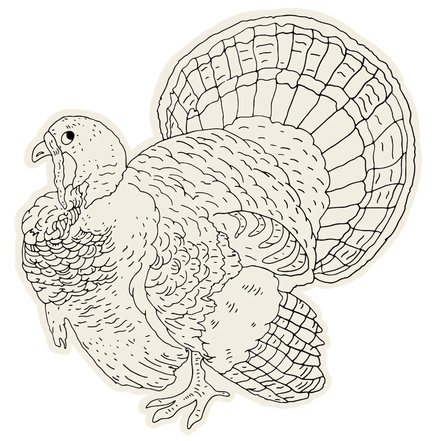 Die Cut Coloring Turkey Placement