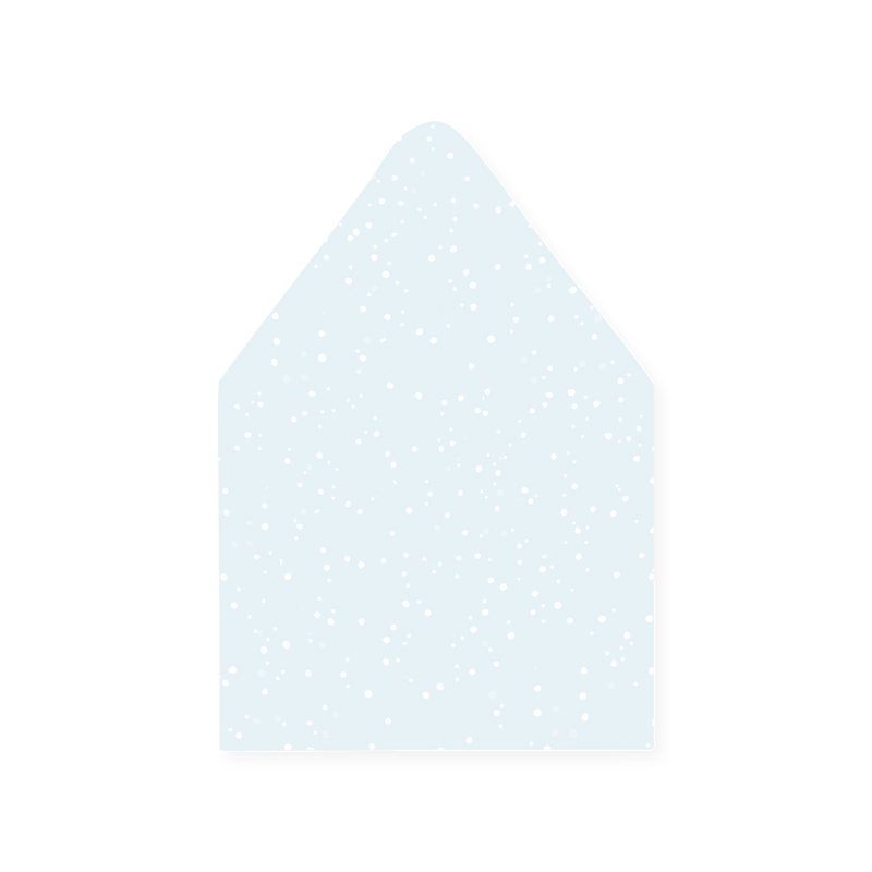 The Lou Envelope Liner
