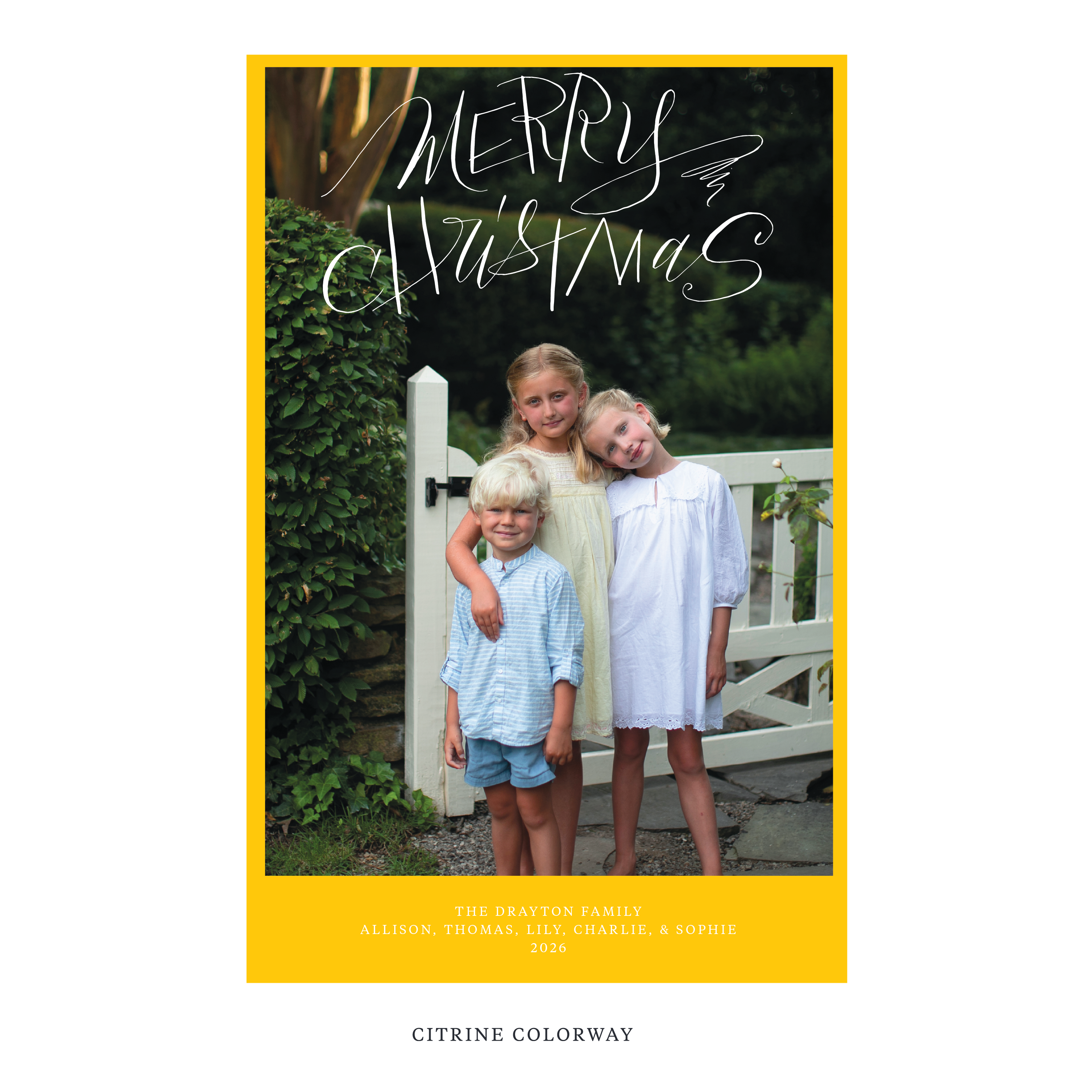 Larkin Digital Photo Holiday Card, Extra Large