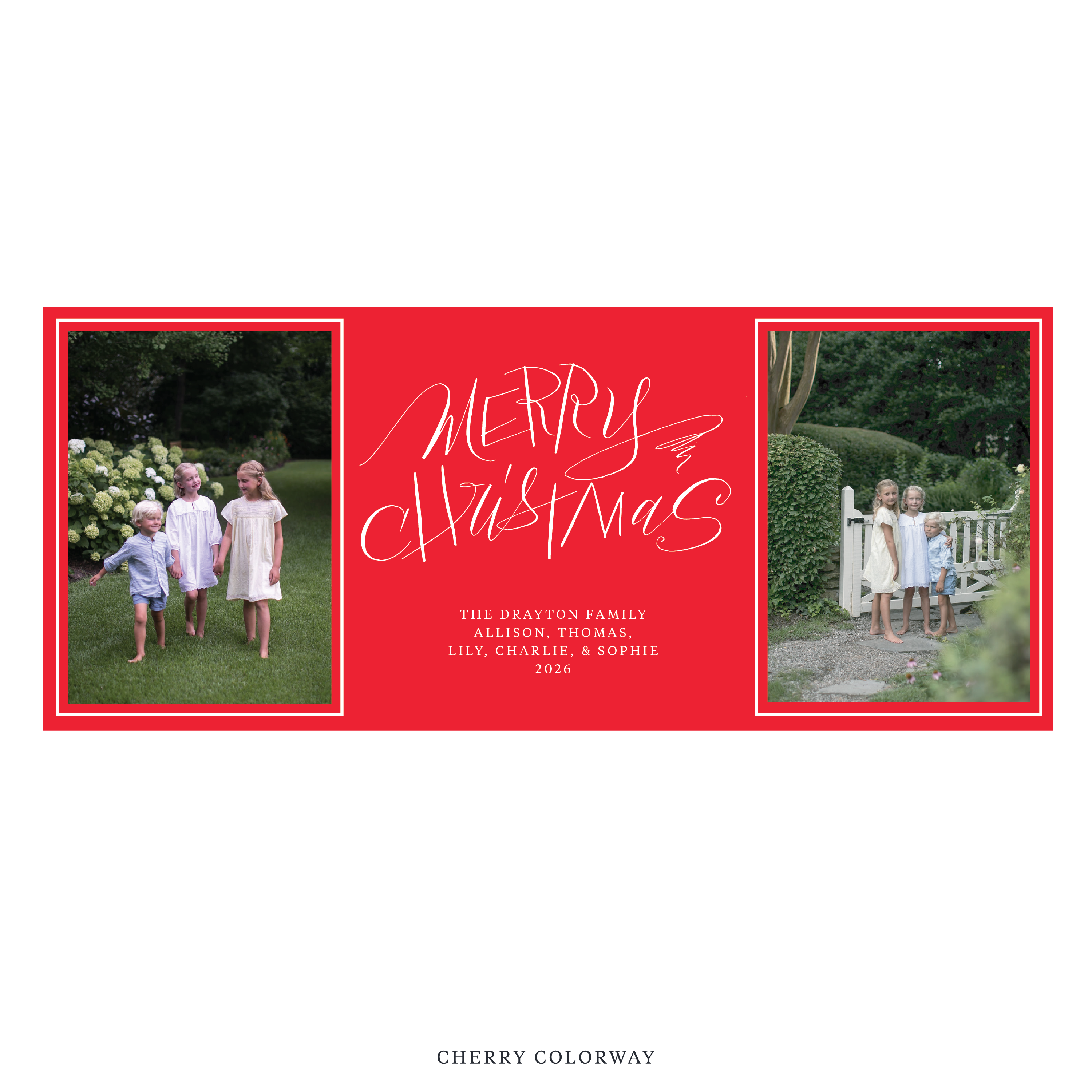 Larkin Digital Photo Holiday Card, Skinny